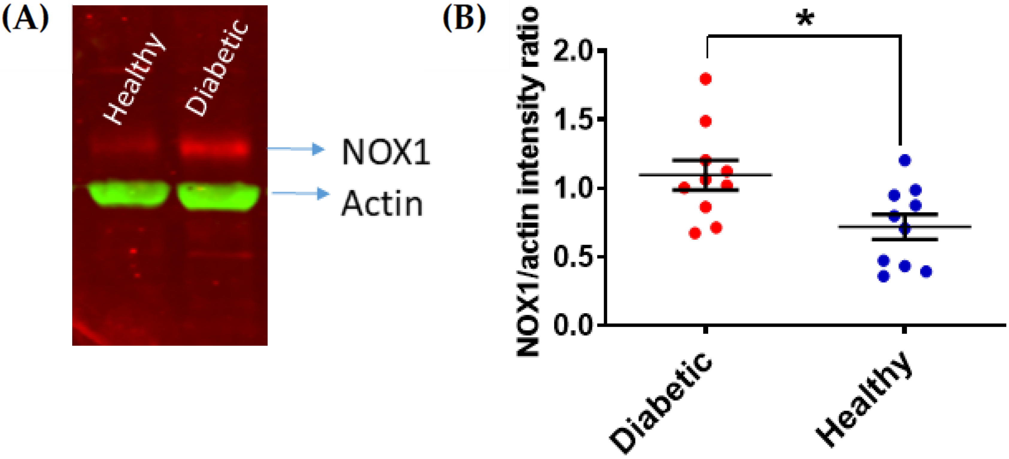 Antioxidants 10 00706 g001 Antioxidants 10 00706 g001