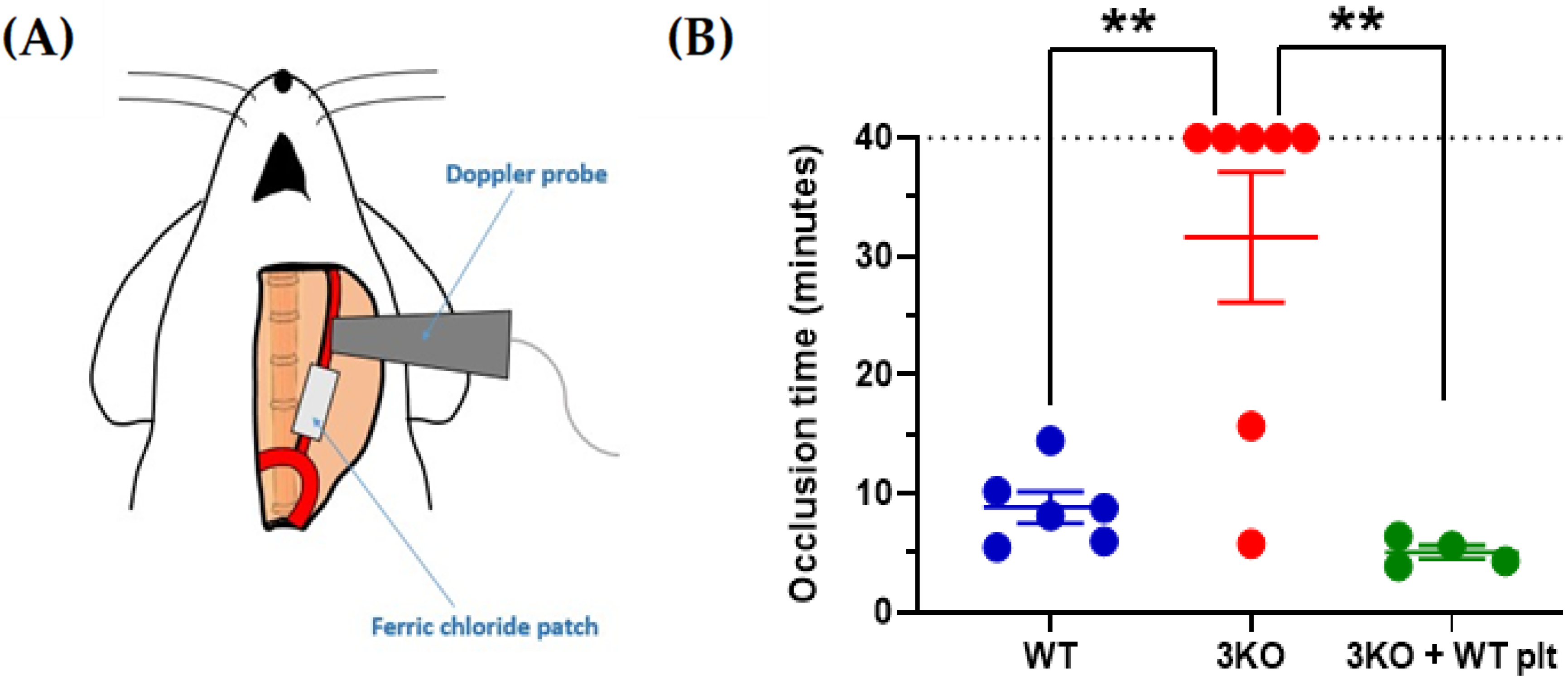 Antioxidants 10 00706 g002 Antioxidants 10 00706 g002