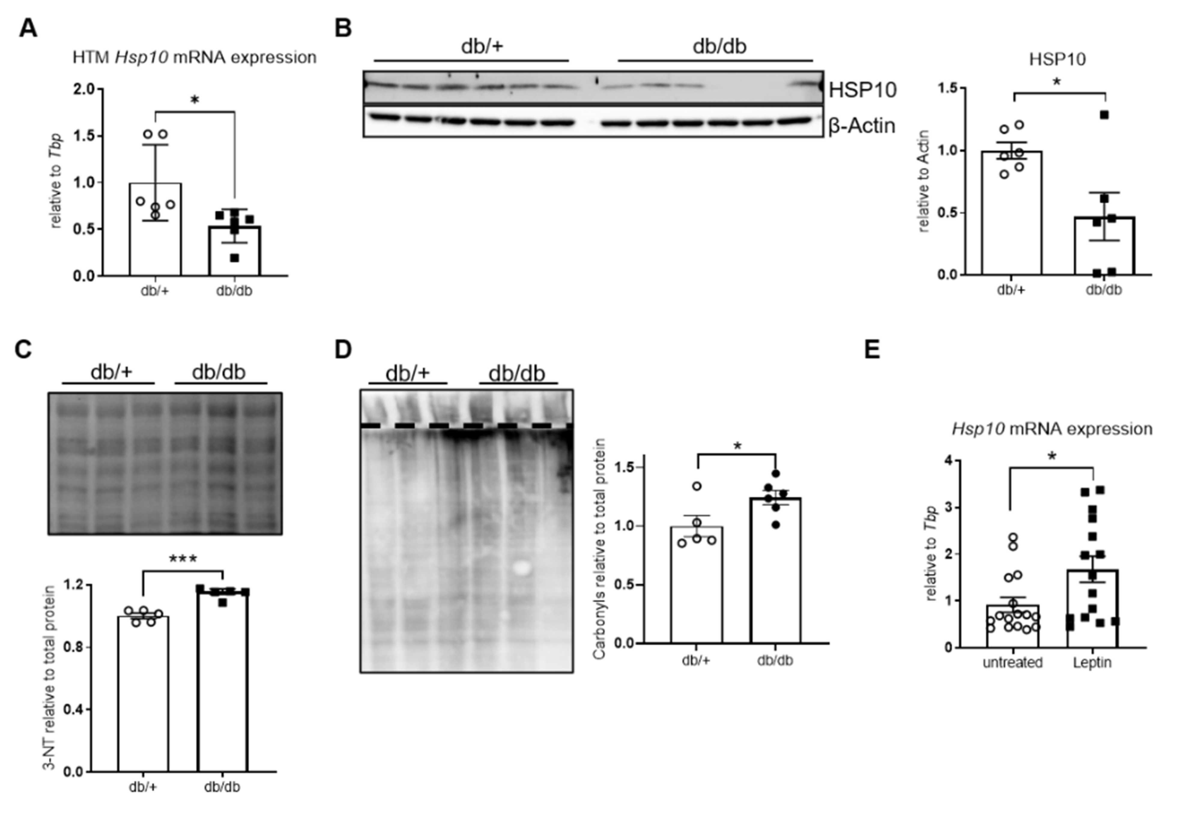 Antioxidants 10 00711 g001