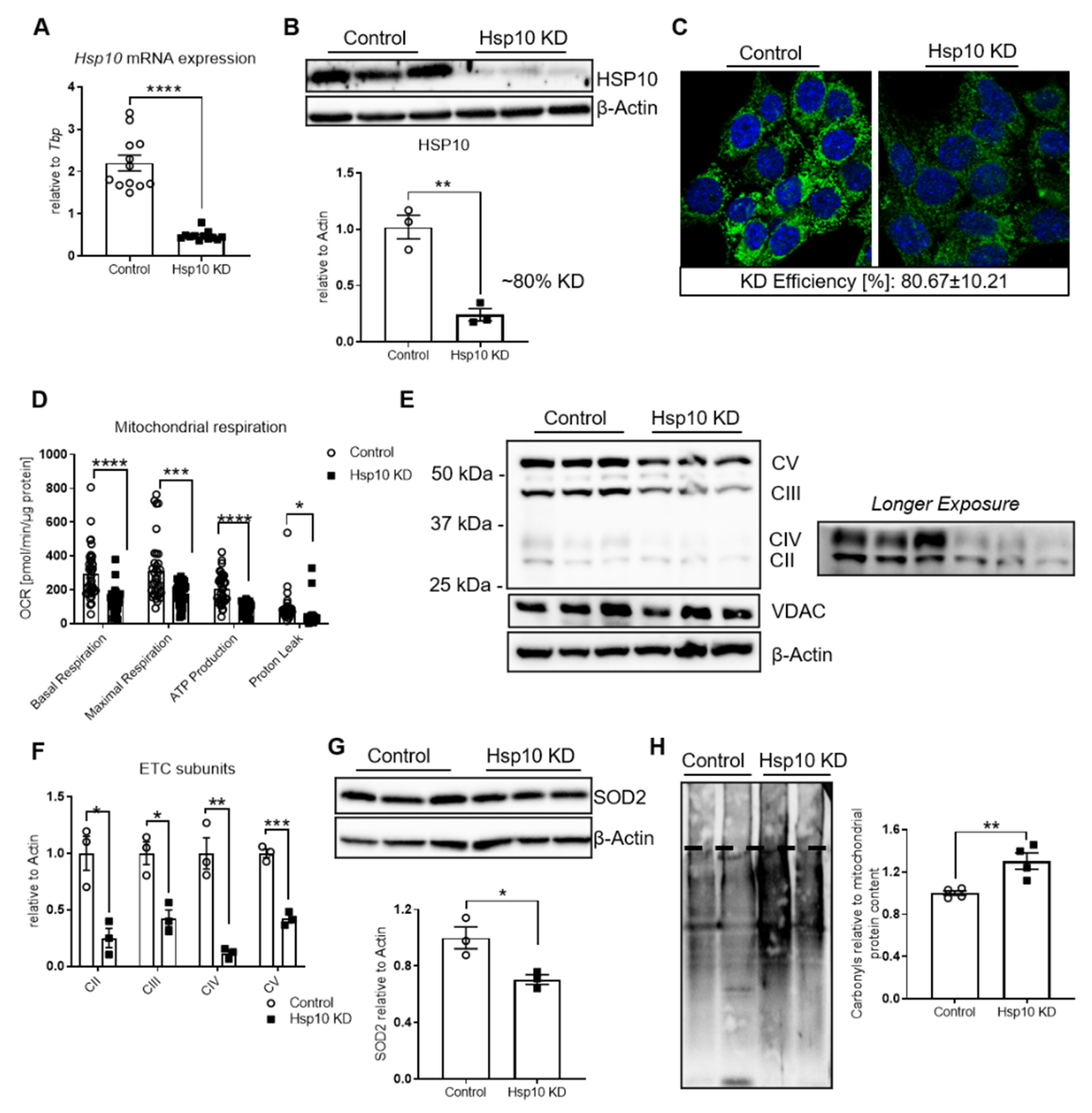 Antioxidants 10 00711 g002