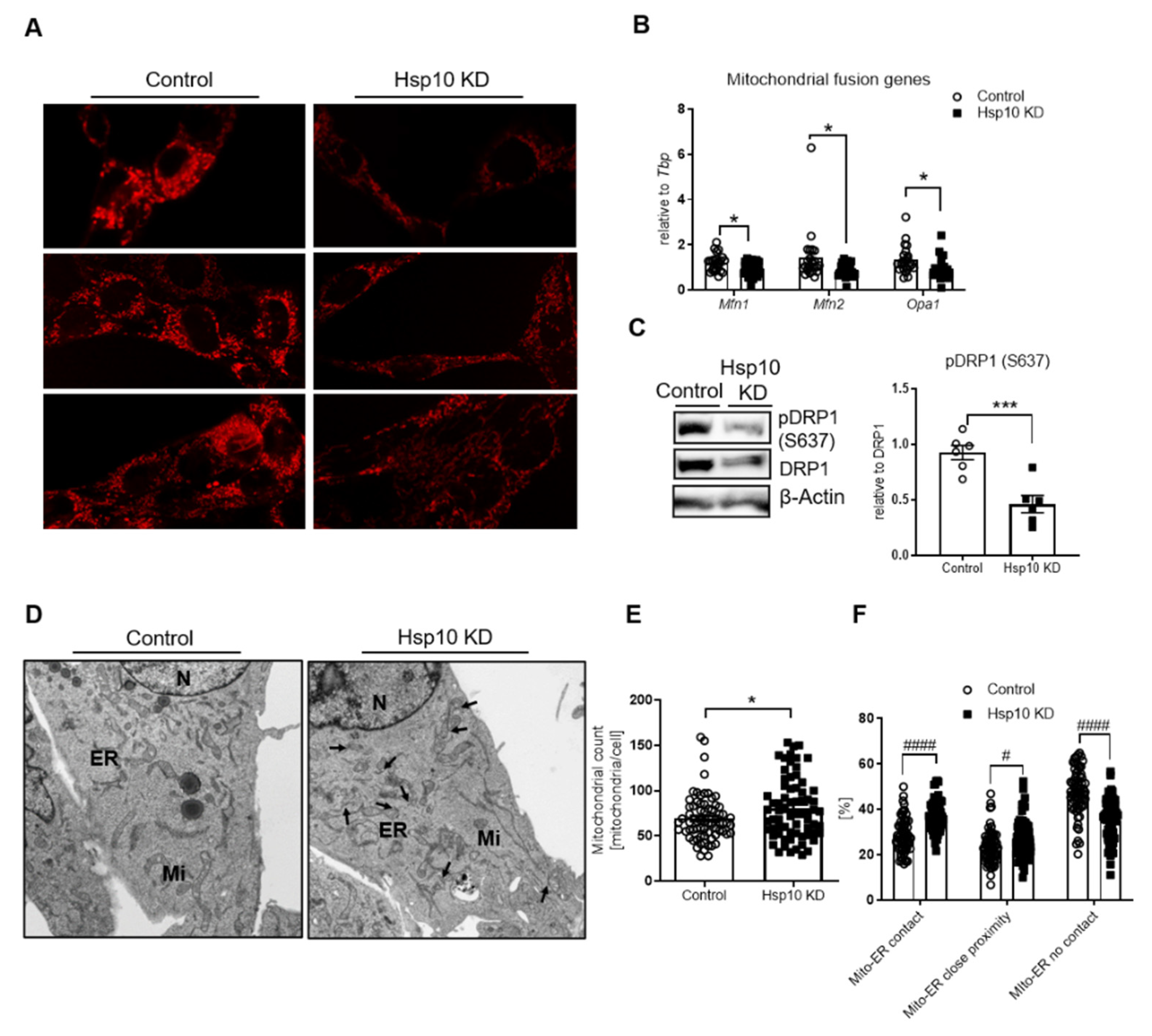 Antioxidants 10 00711 g003