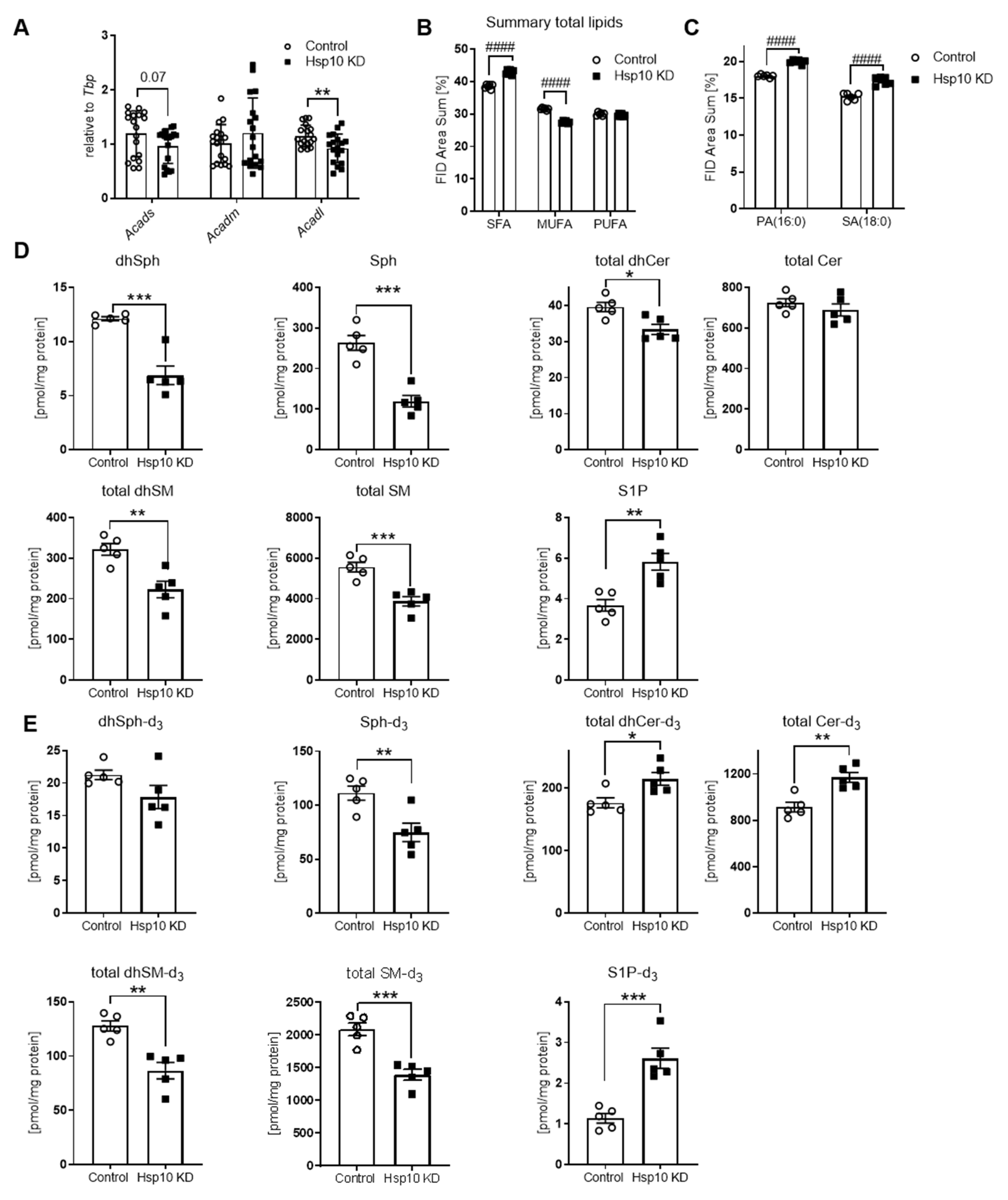 Antioxidants 10 00711 g004
