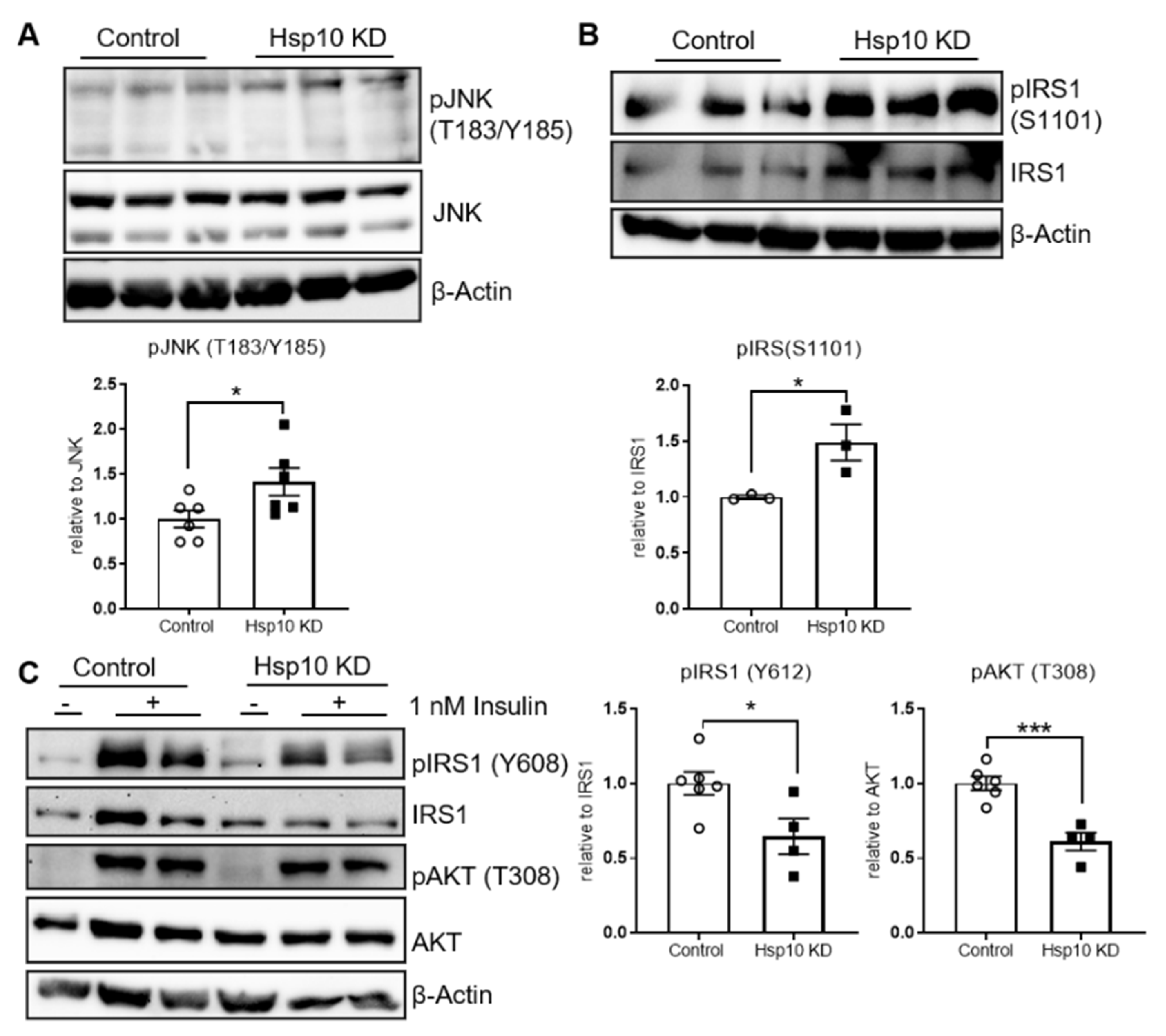 Antioxidants 10 00711 g005