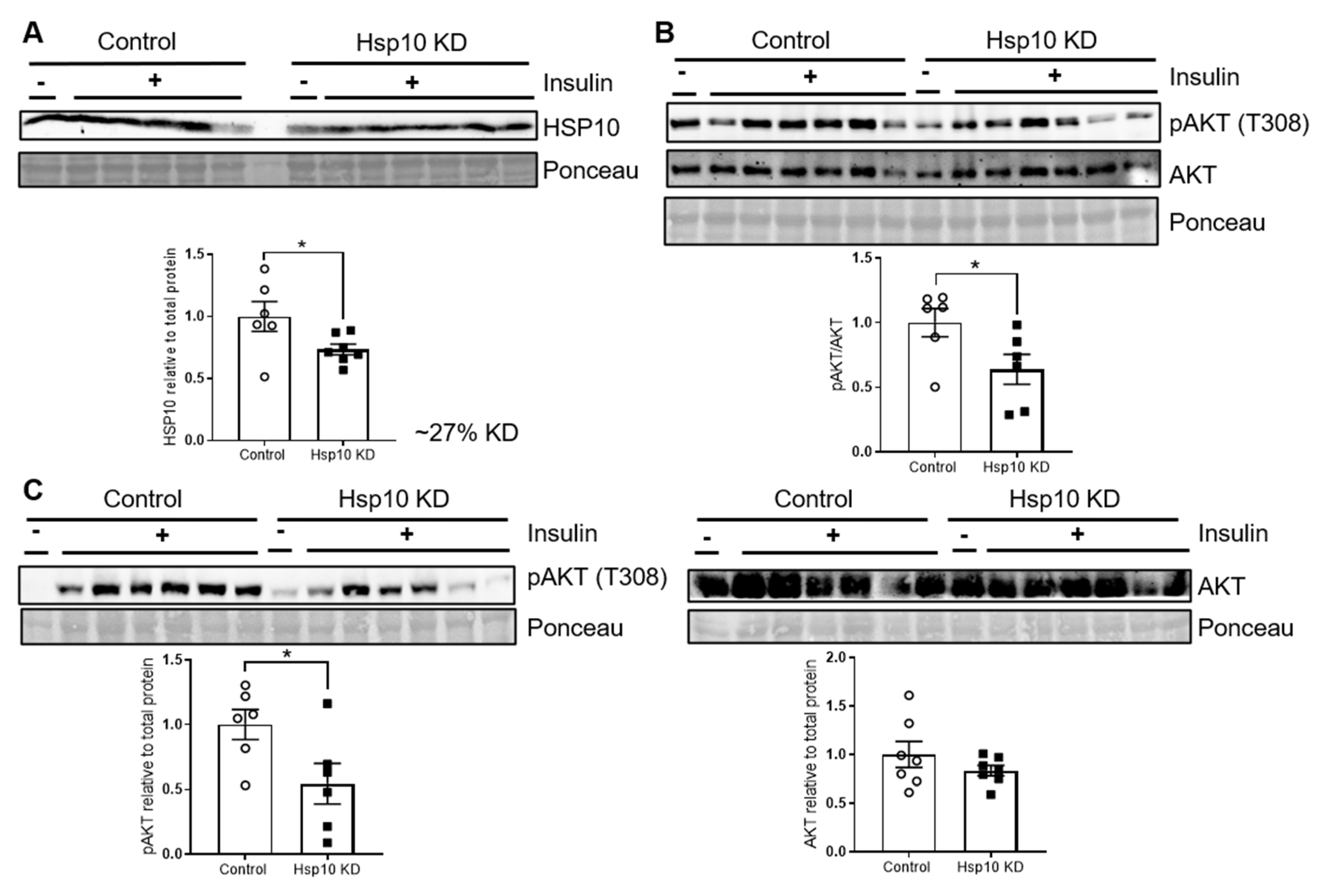 Antioxidants 10 00711 g006