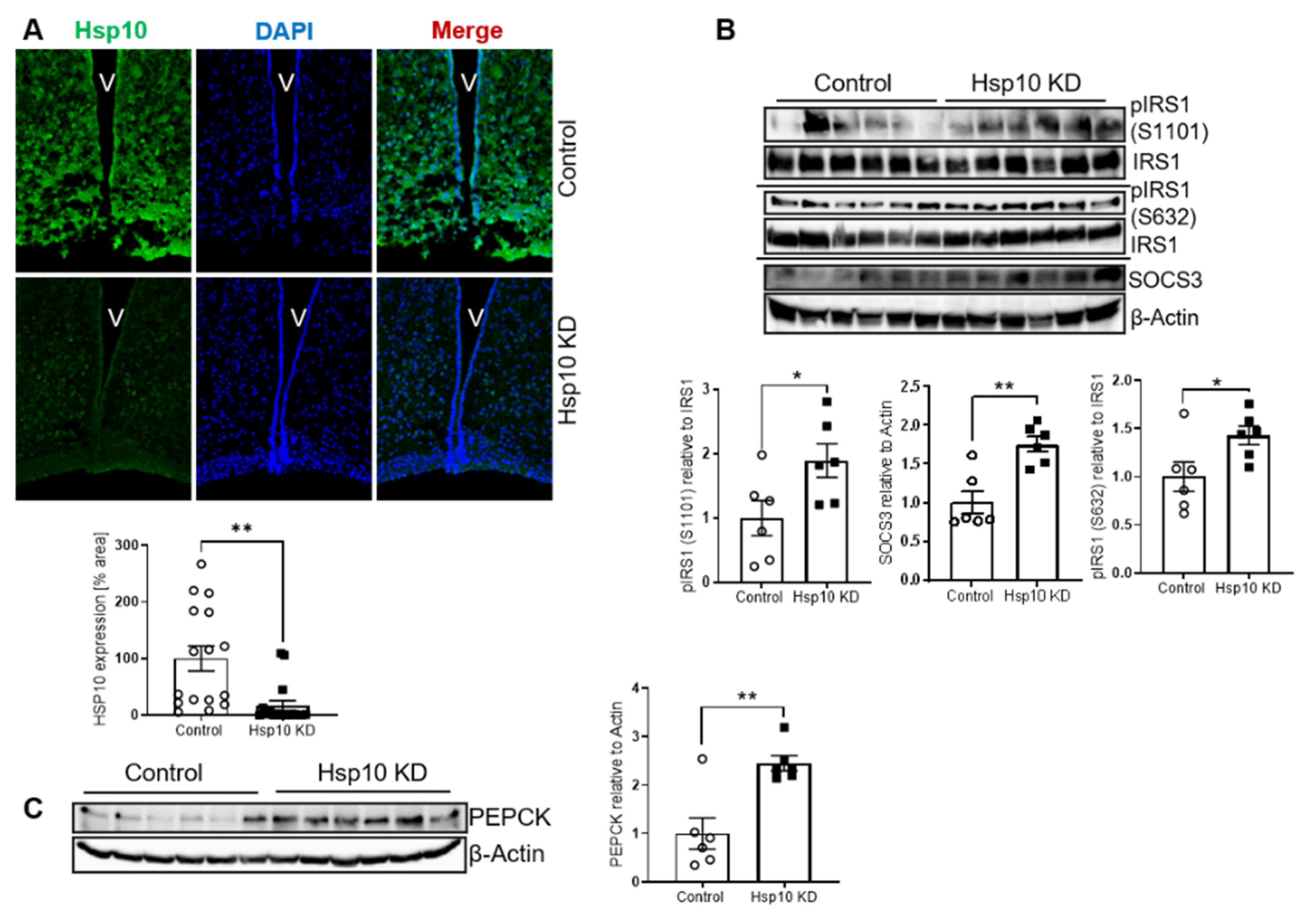 Antioxidants 10 00711 g007