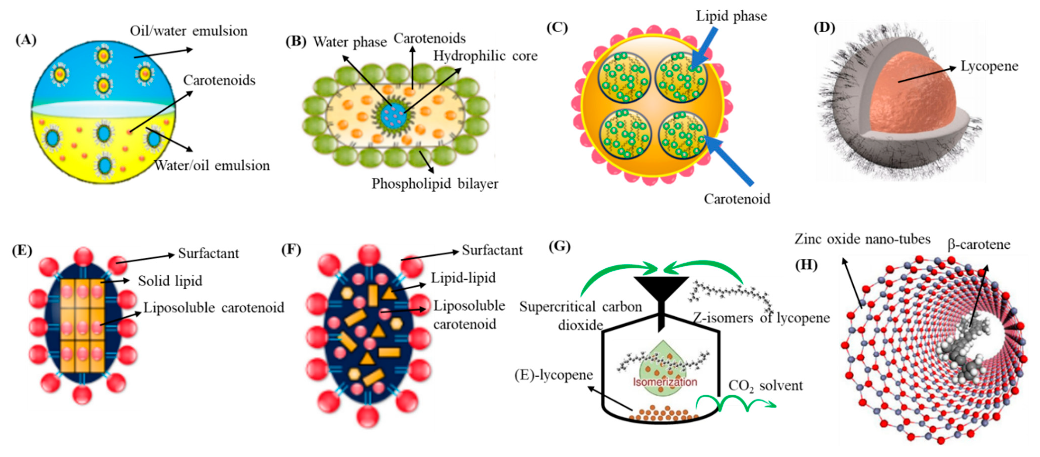 Antioxidants 10 00713 g003 Antioxidants 10 00713 g003