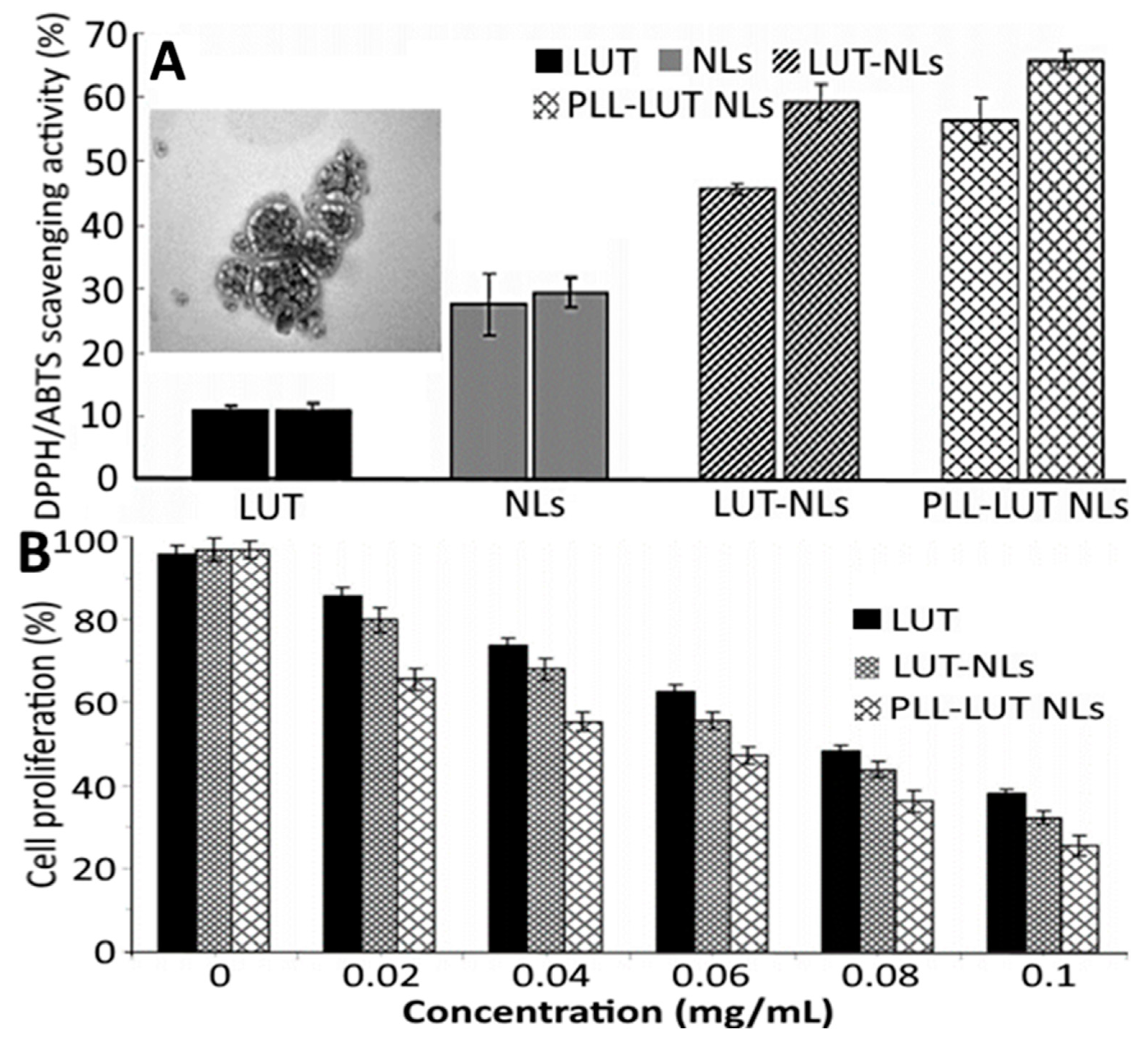 Antioxidants 10 00713 g007 Antioxidants 10 00713 g007