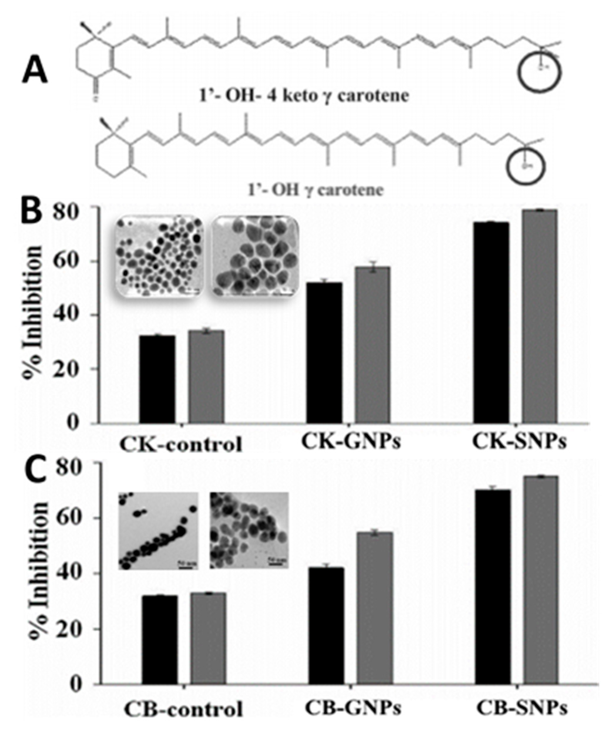 Antioxidants 10 00713 g014 Antioxidants 10 00713 g014