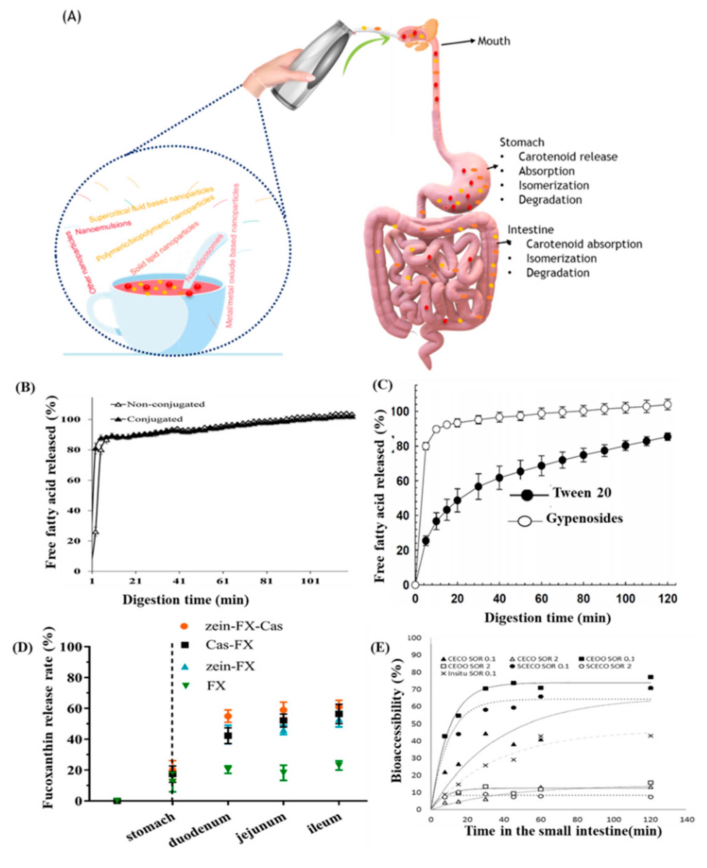 Antioxidants 10 00713 g016 Antioxidants 10 00713 g016