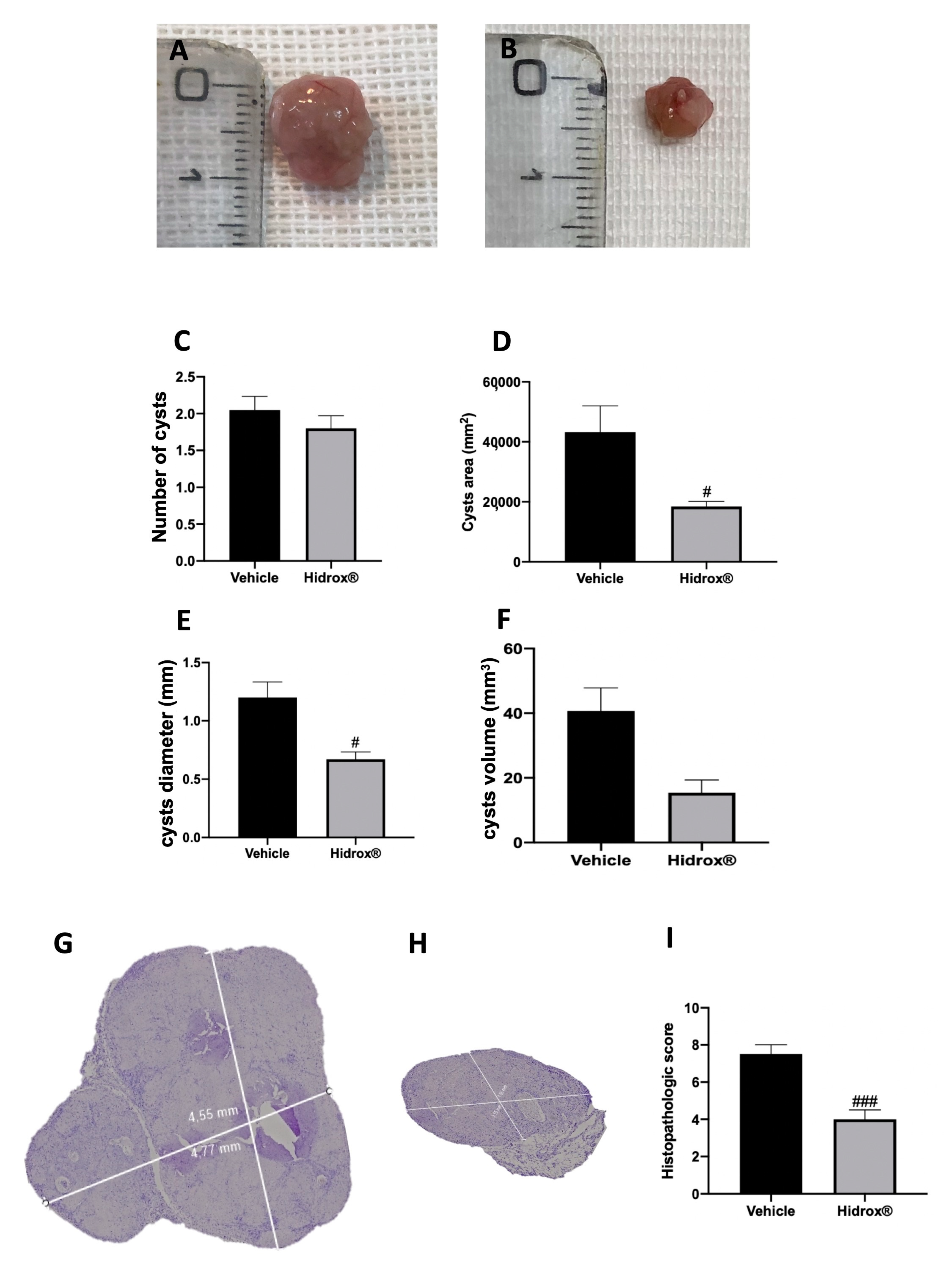 Antioxidants 10 00720 g001 Antioxidants 10 00720 g001