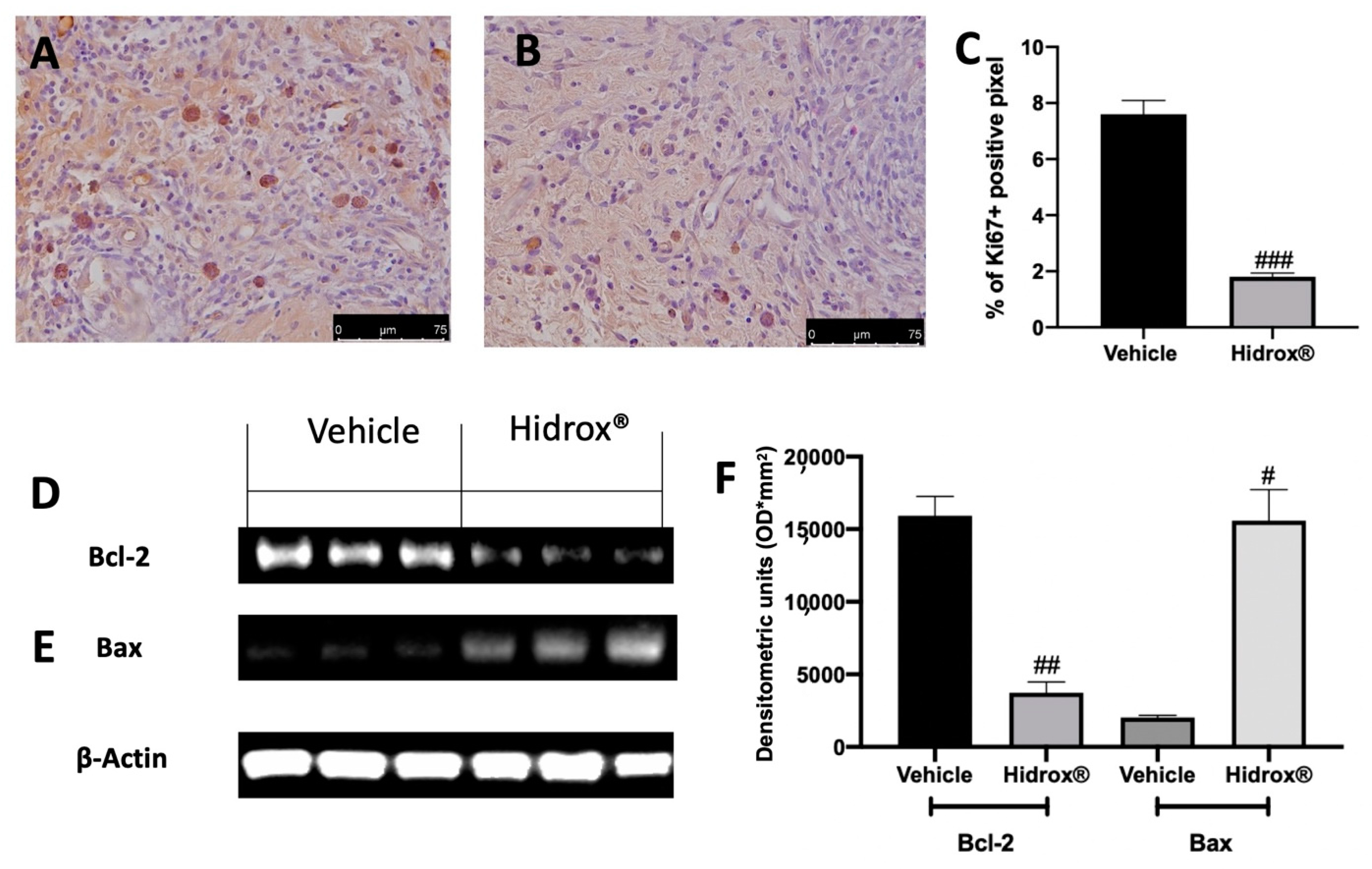 Antioxidants 10 00720 g003 Antioxidants 10 00720 g003
