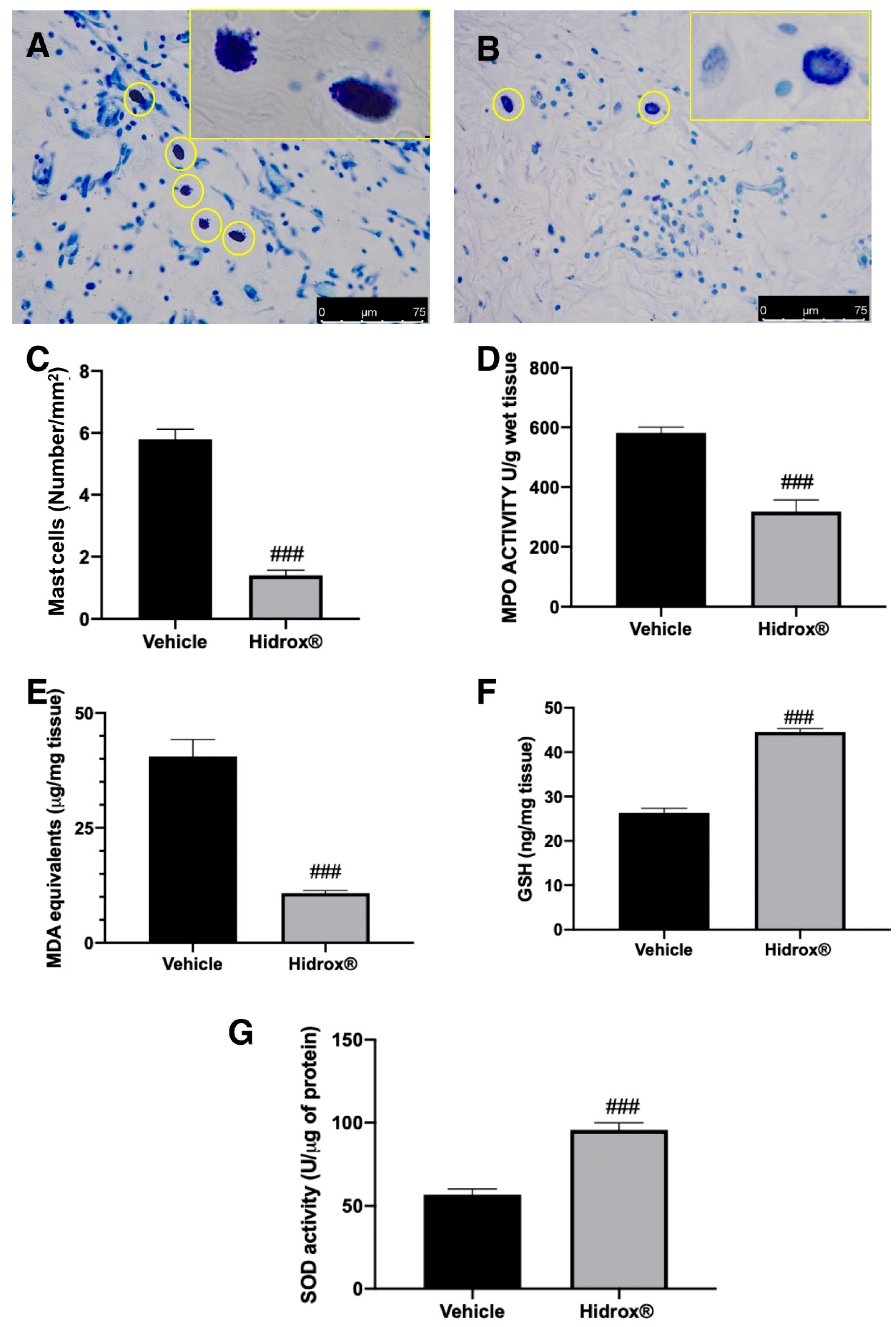 Antioxidants 10 00720 g004 Antioxidants 10 00720 g004