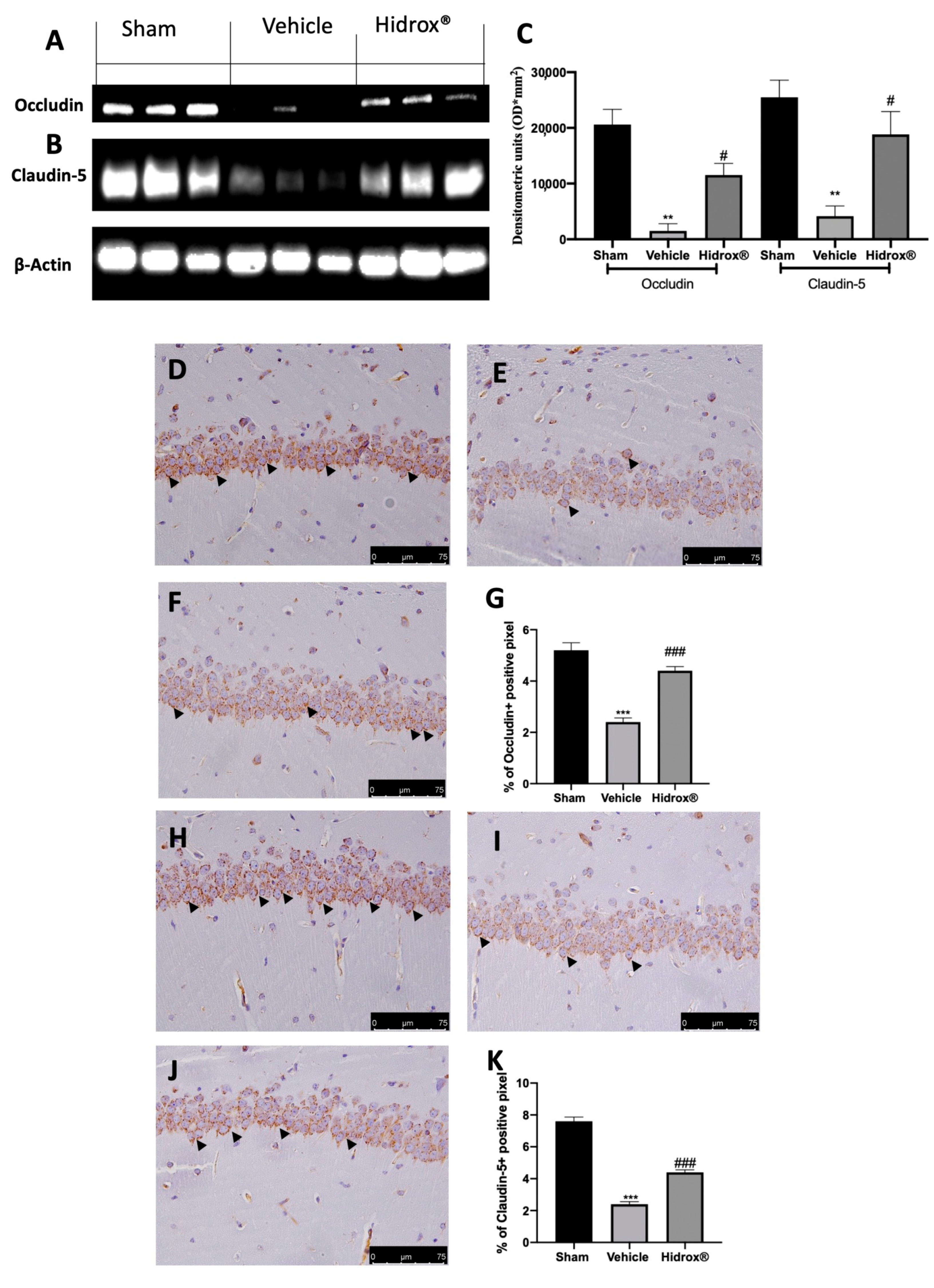 Antioxidants 10 00720 g007 Antioxidants 10 00720 g007