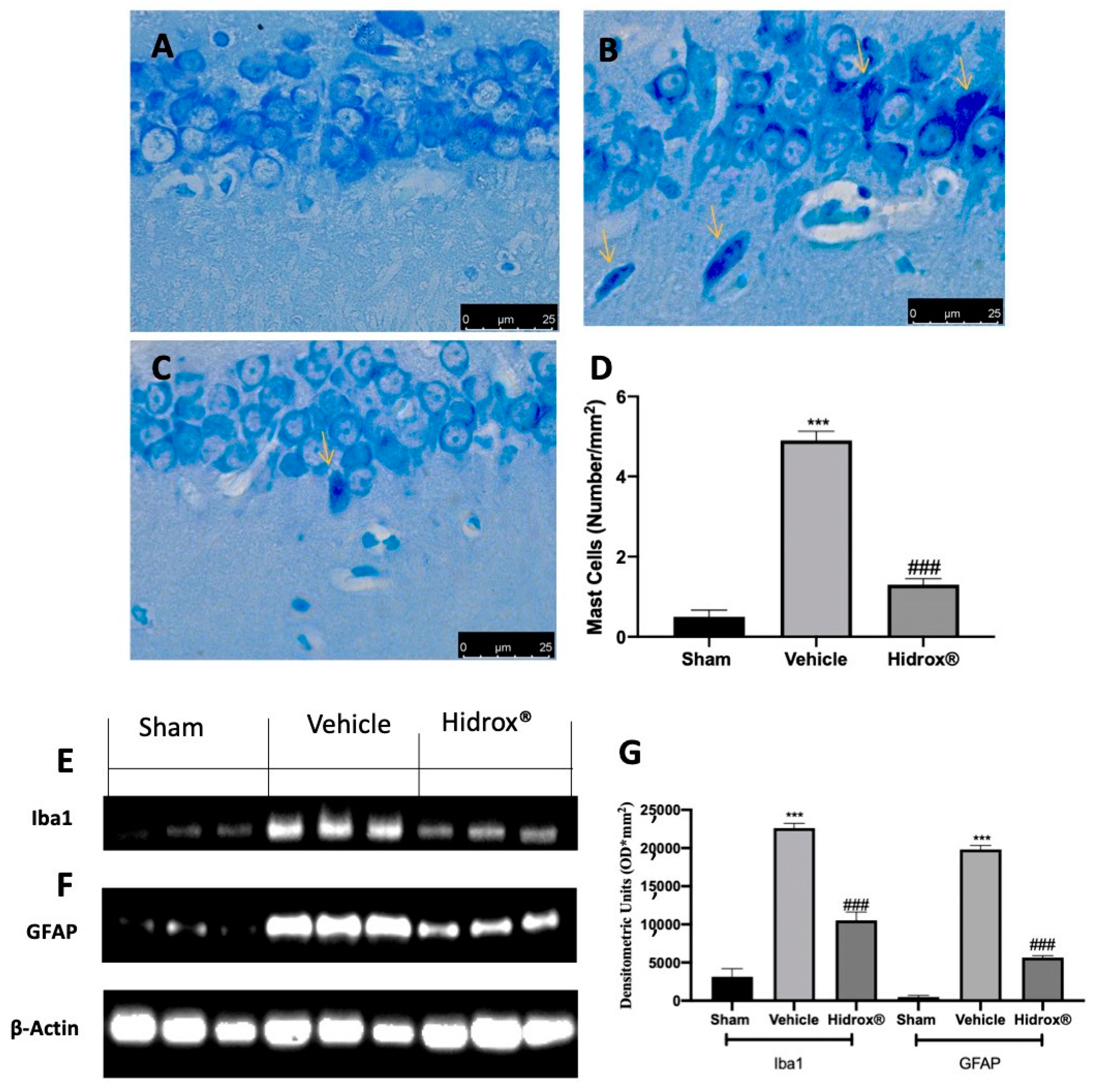 Antioxidants 10 00720 g008 Antioxidants 10 00720 g008