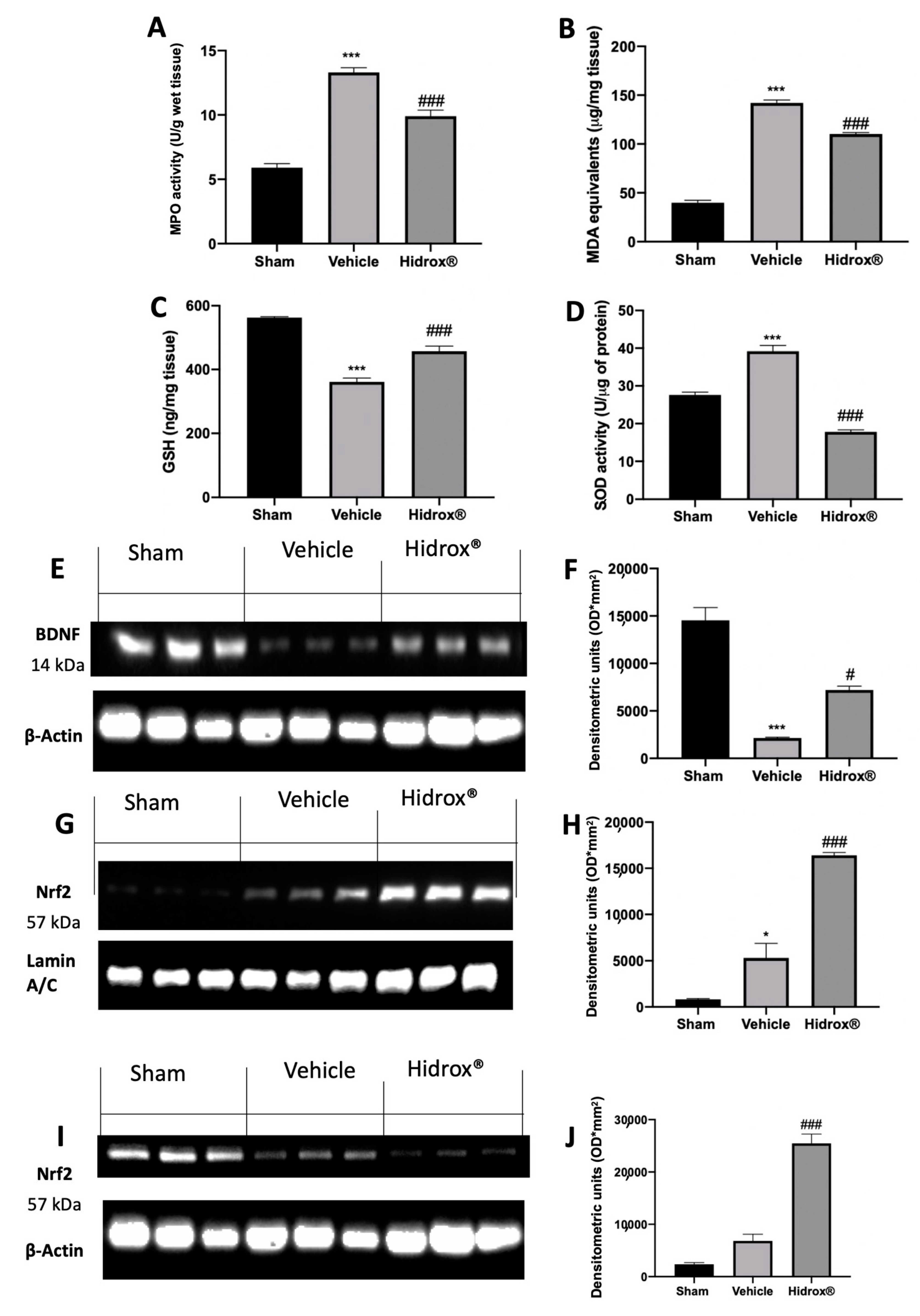 Antioxidants 10 00720 g009 Antioxidants 10 00720 g009
