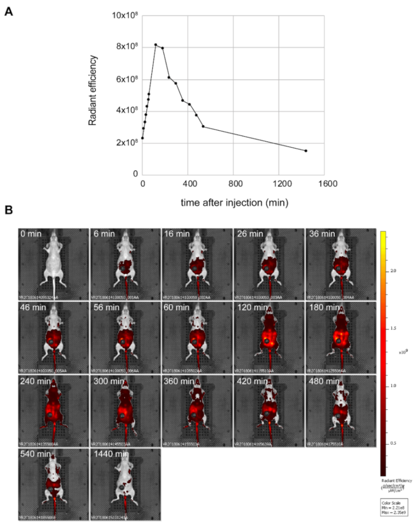 Antioxidants 10 00723 g002