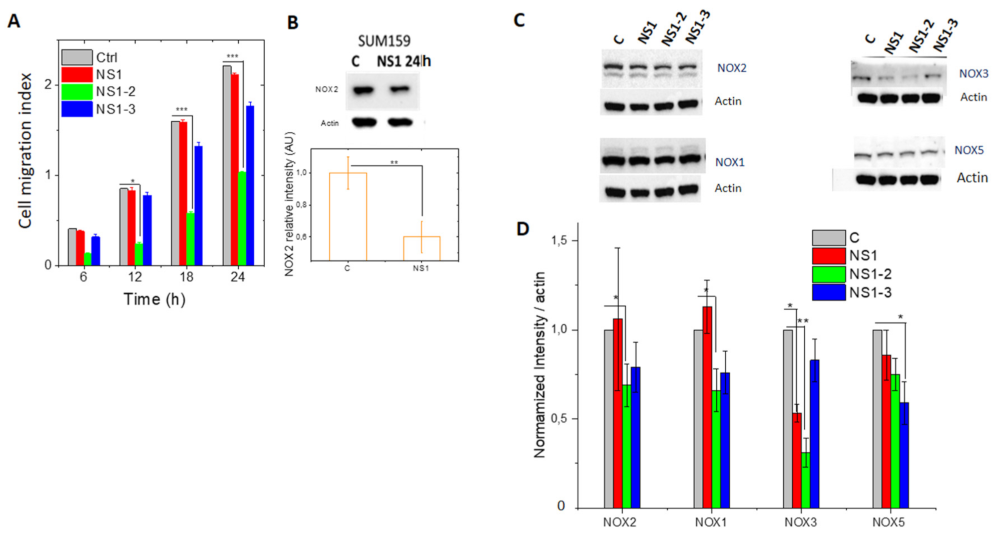 Antioxidants 10 00723 g006