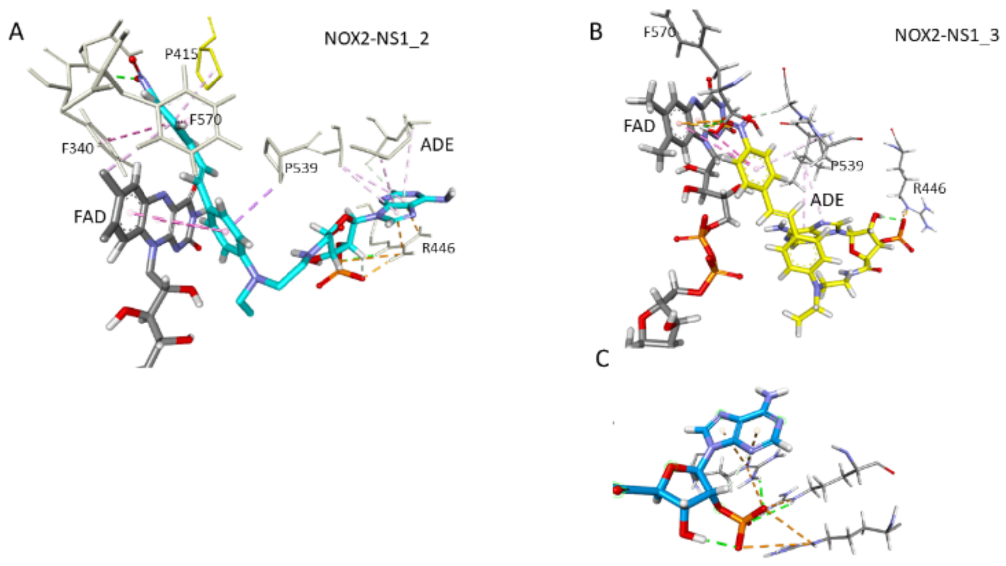 Antioxidants 10 00723 g008