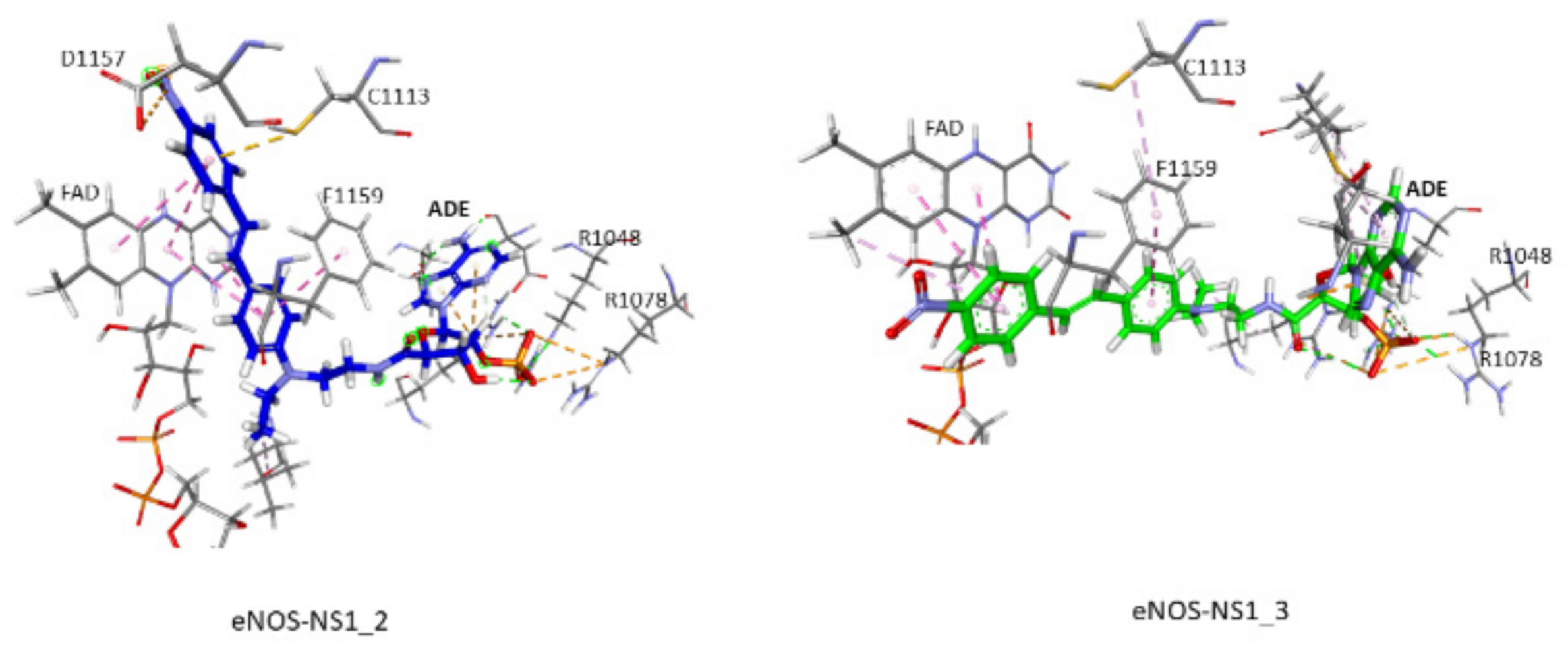 Antioxidants 10 00723 g009
