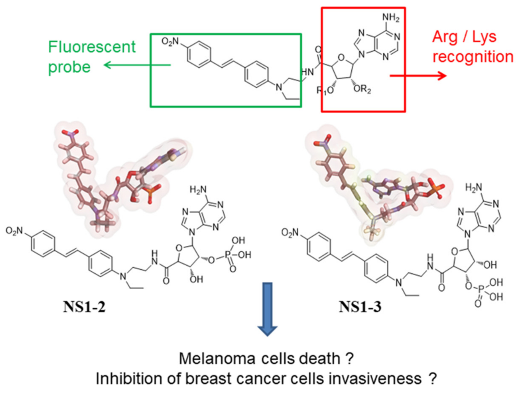 Antioxidants 10 00723 sch001