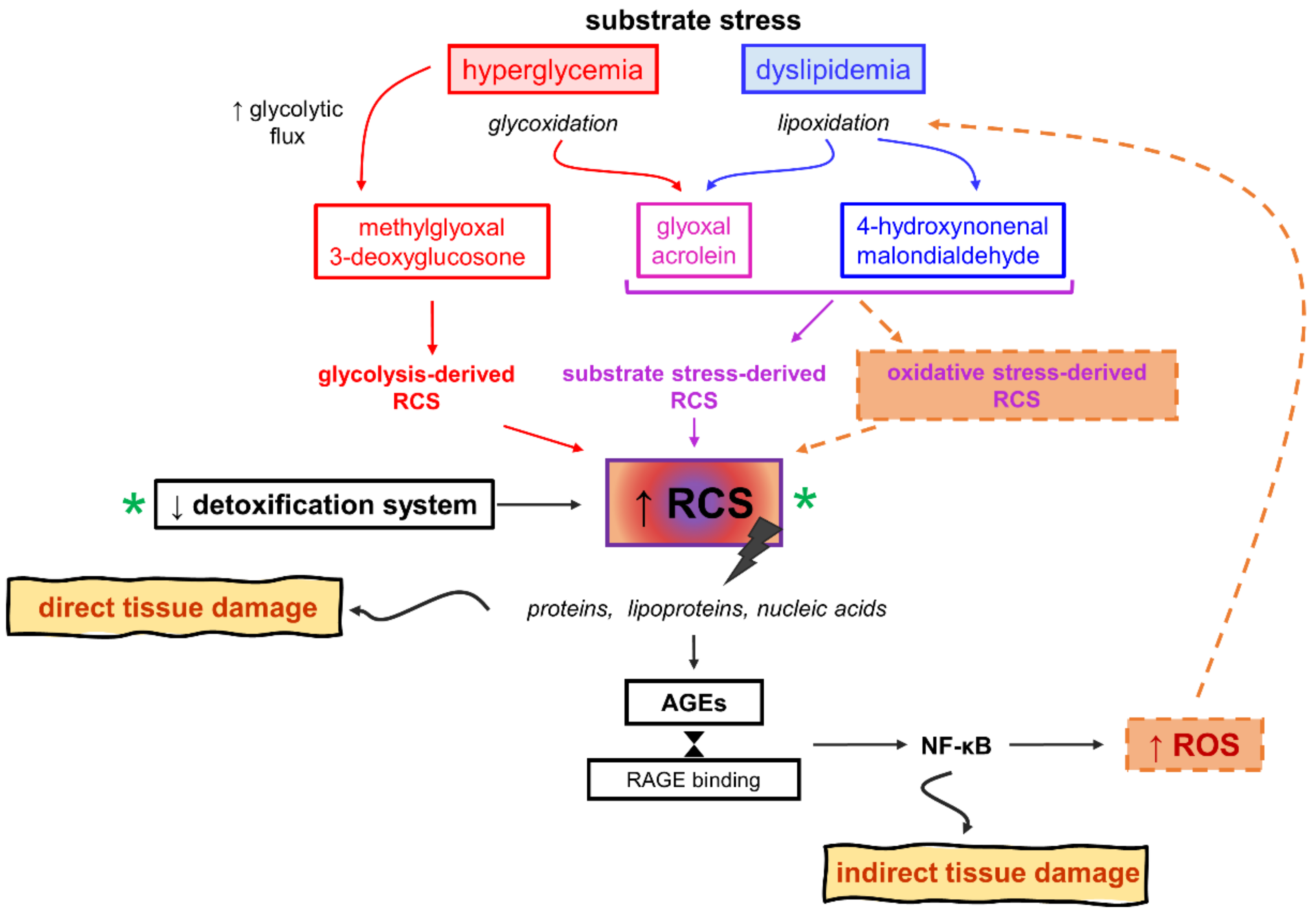 Antioxidants 10 00727 g005