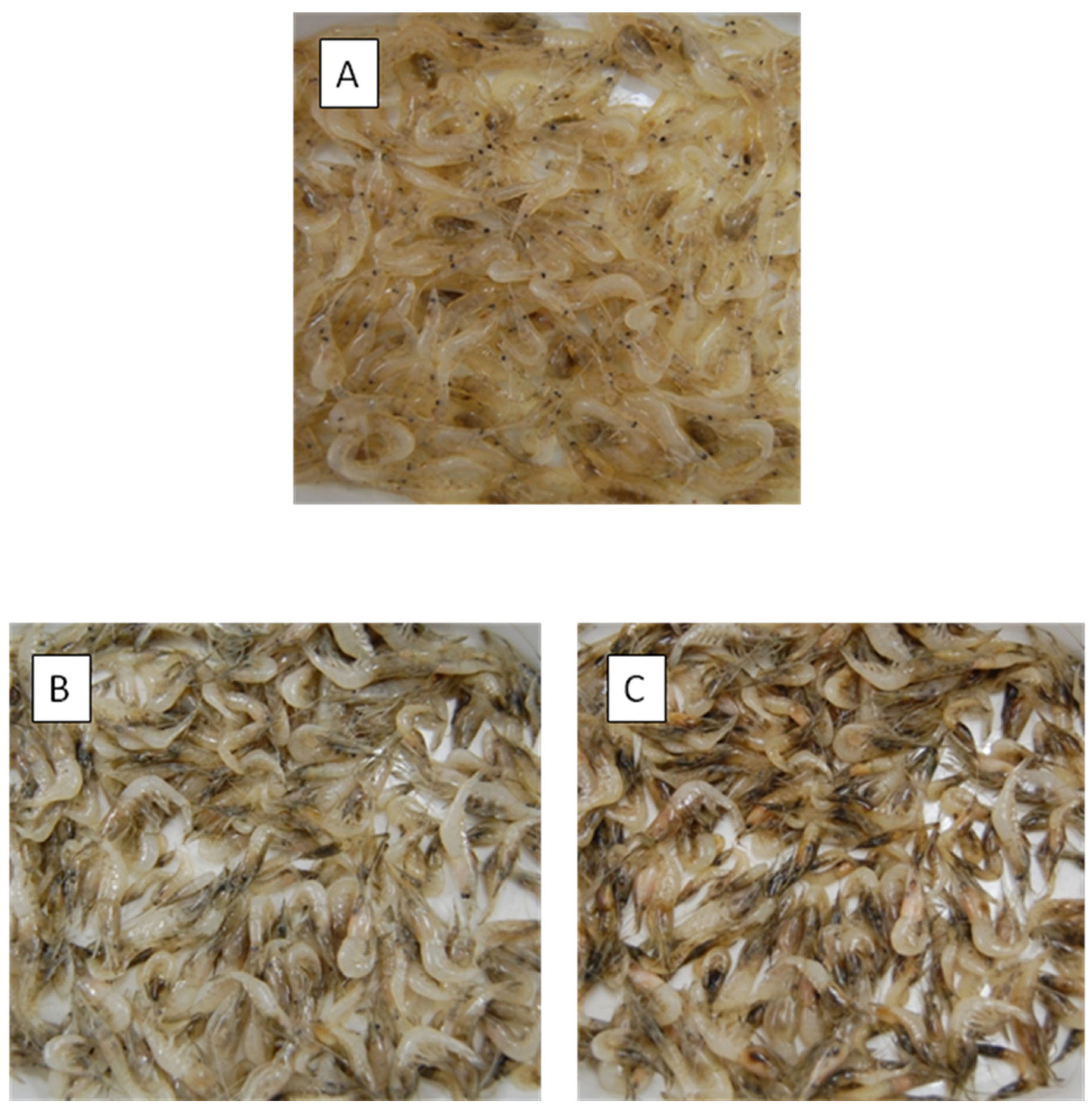 Antioxidants 10 00728 g002