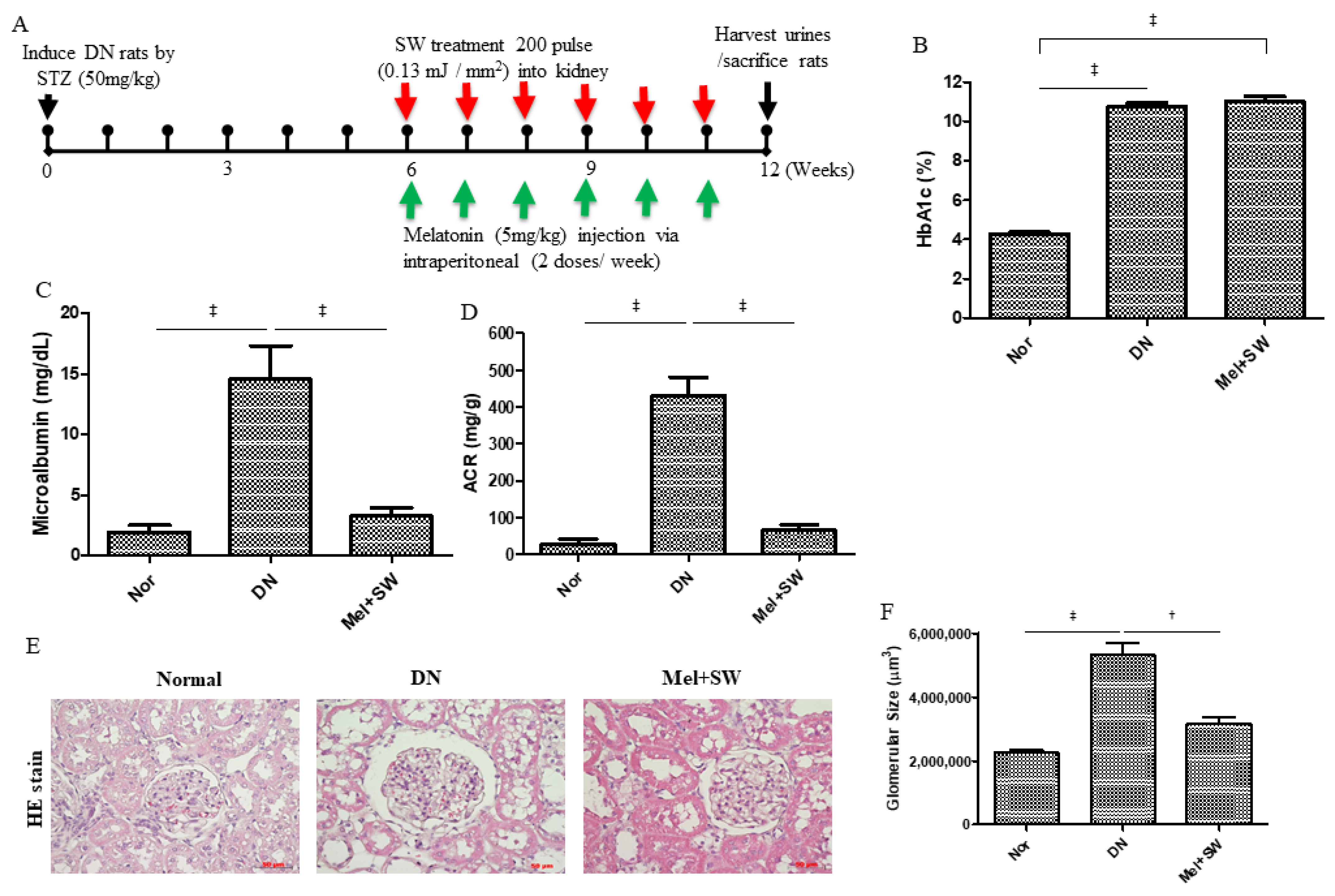 Antioxidants 10 00733 g001 Antioxidants 10 00733 g001