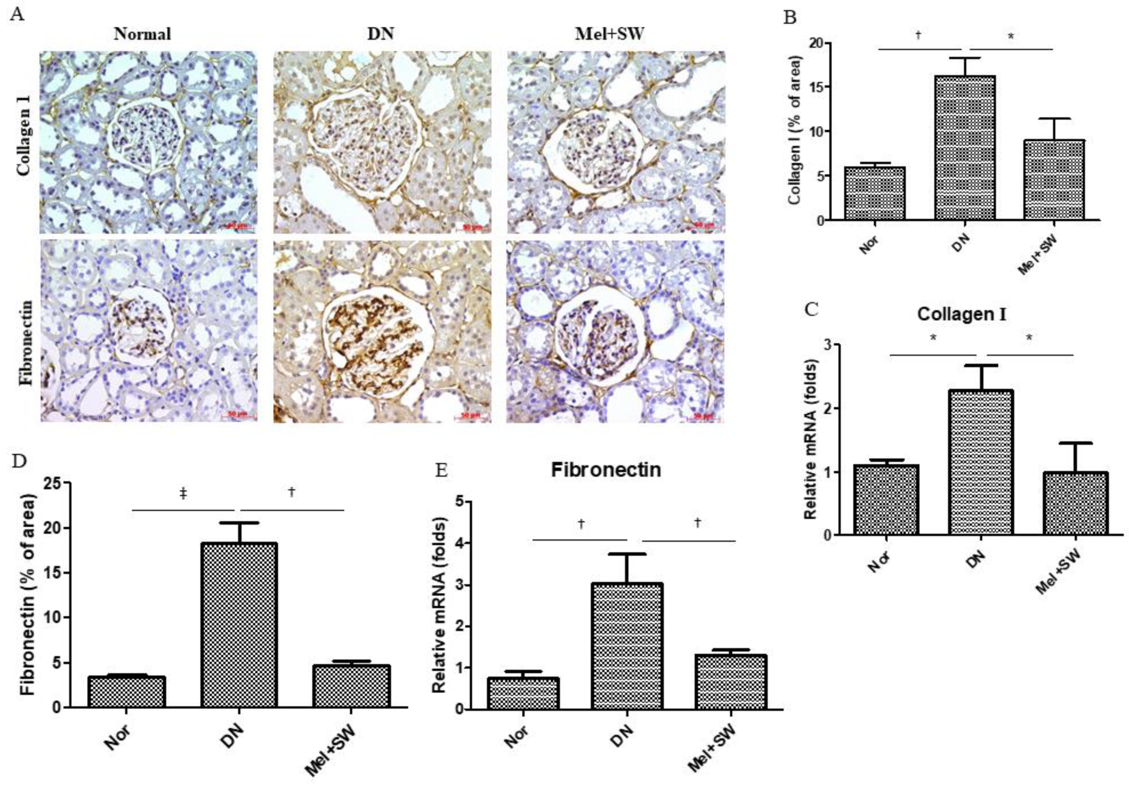 Antioxidants 10 00733 g002 Antioxidants 10 00733 g002