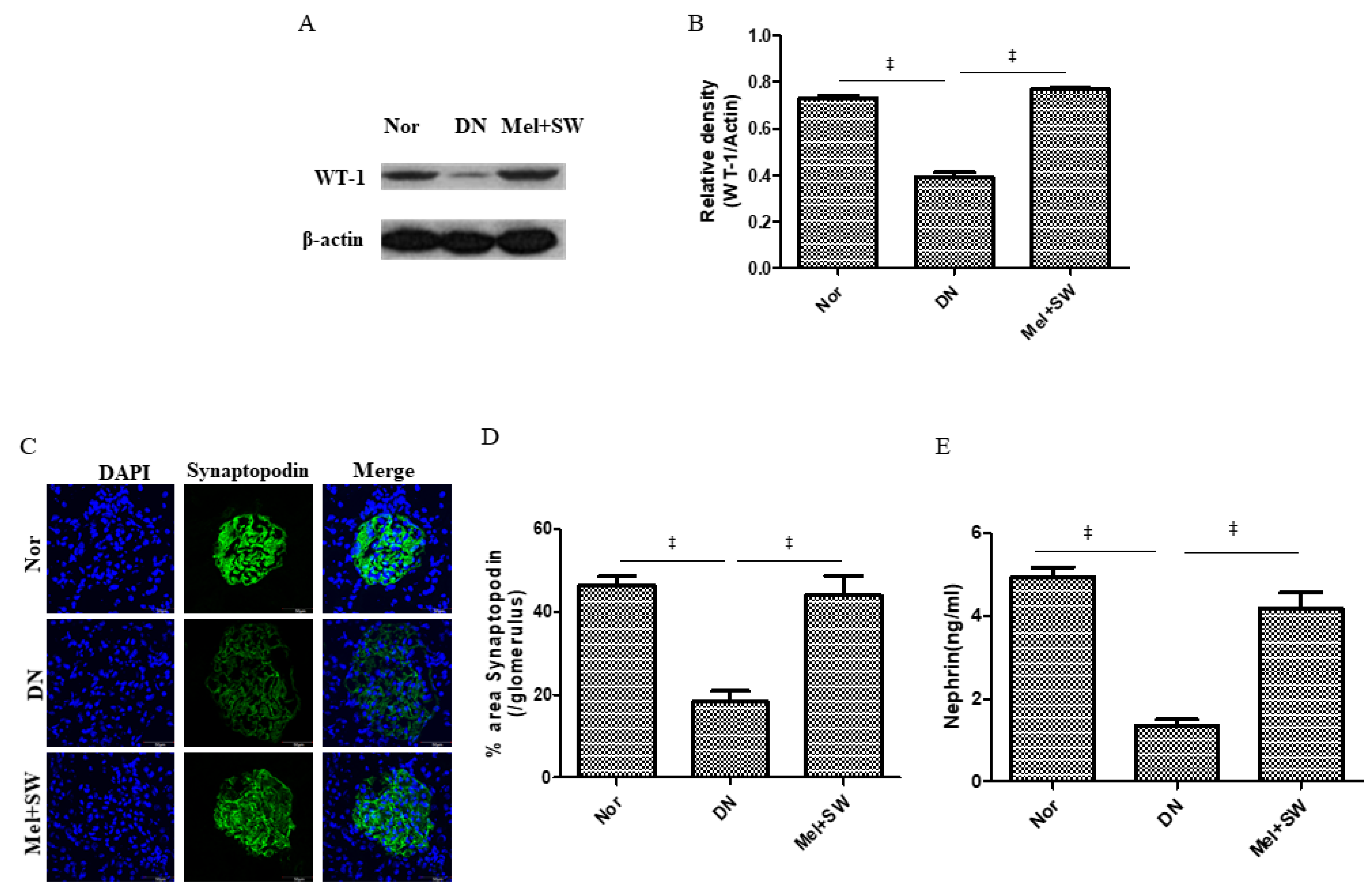 Antioxidants 10 00733 g003 Antioxidants 10 00733 g003