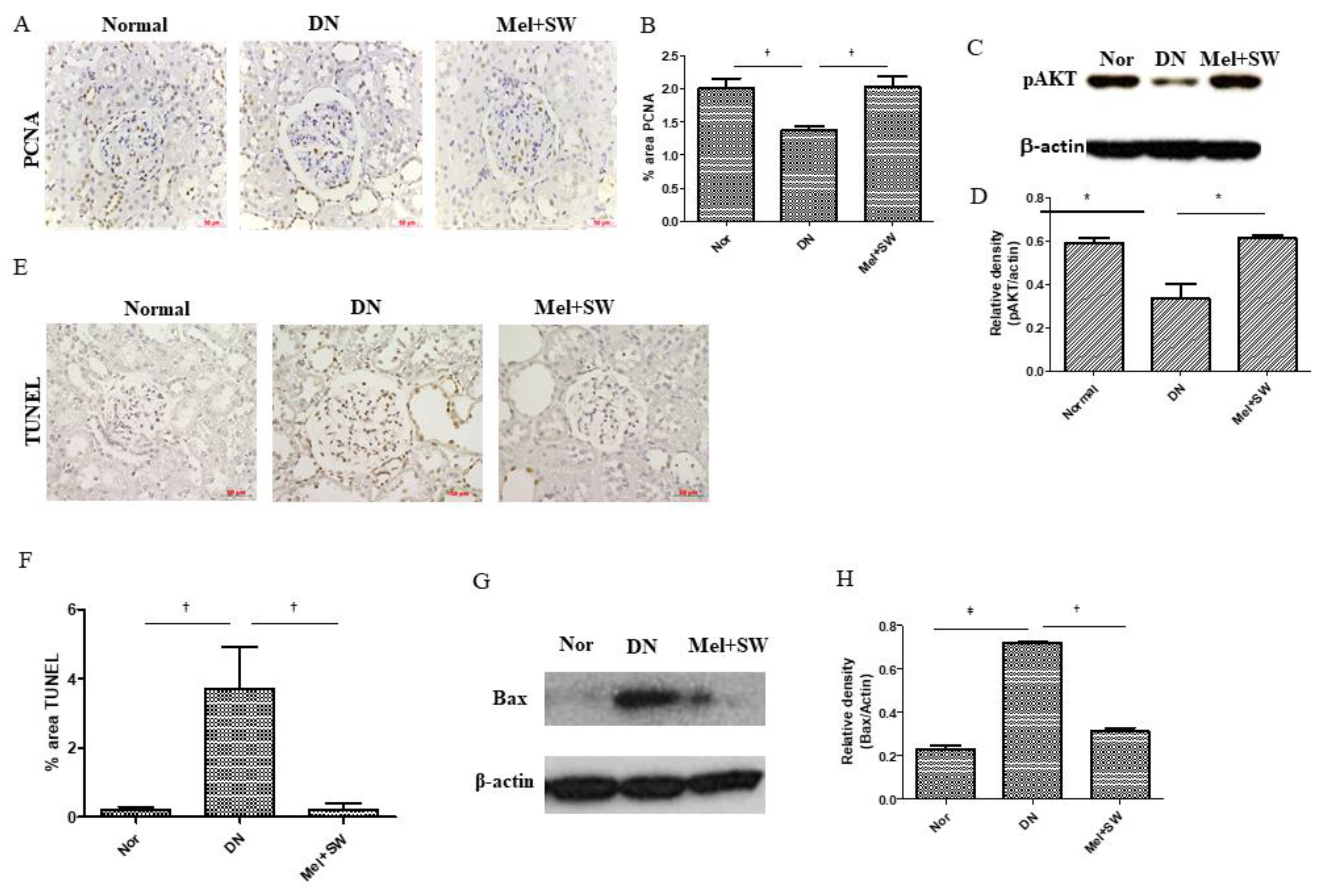 Antioxidants 10 00733 g004 Antioxidants 10 00733 g004