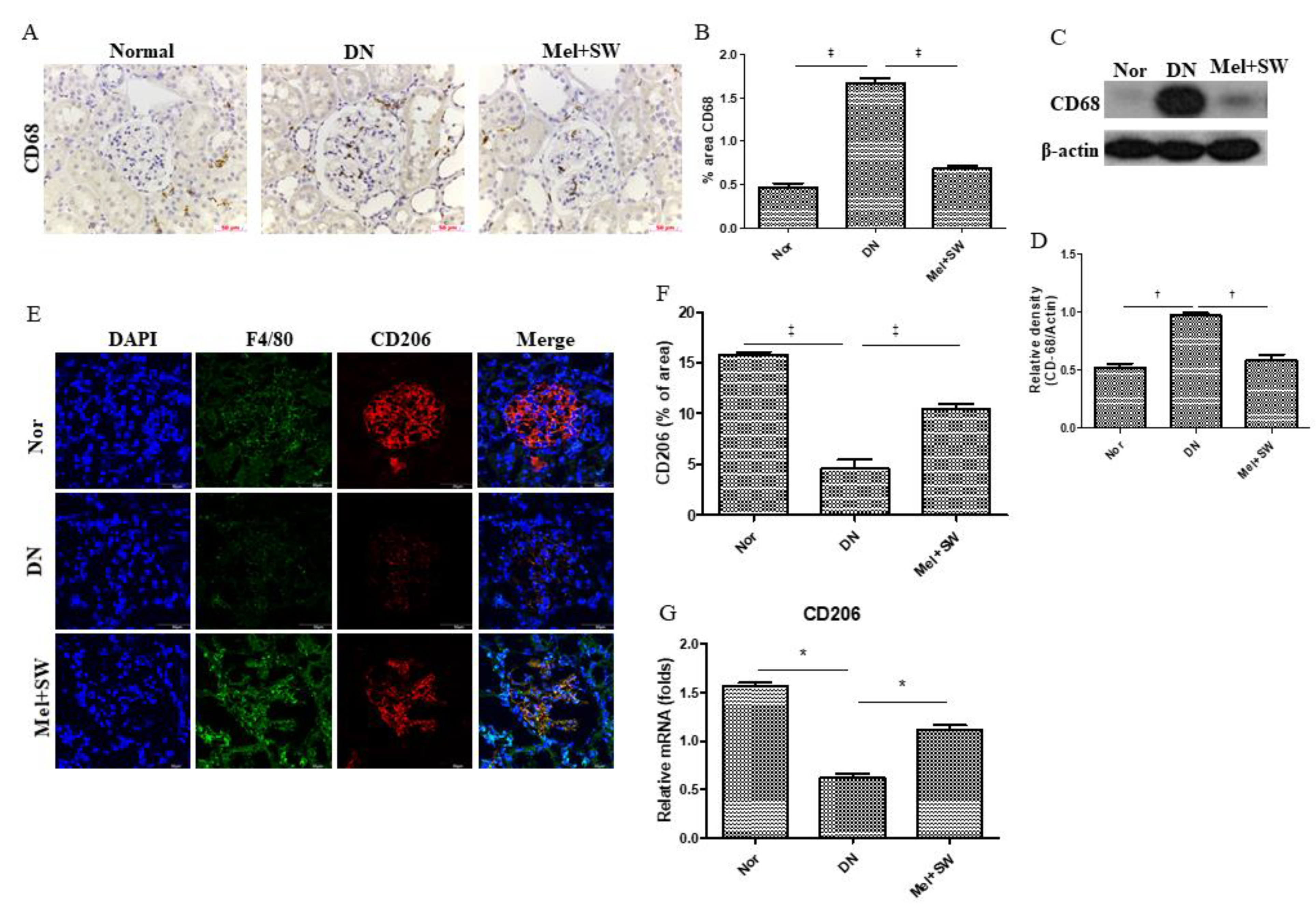 Antioxidants 10 00733 g006 Antioxidants 10 00733 g006