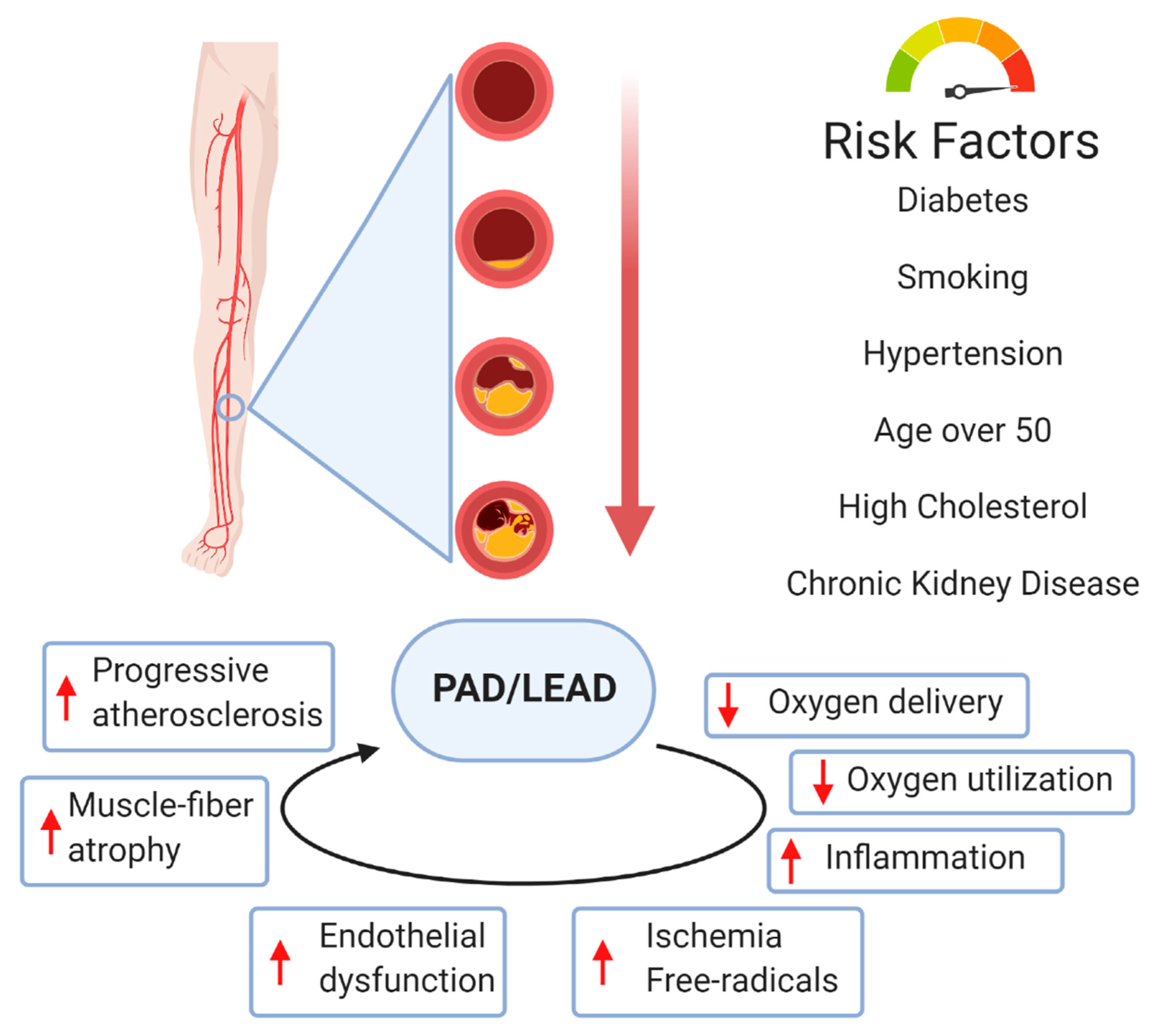 Antioxidants 10 00735 g001