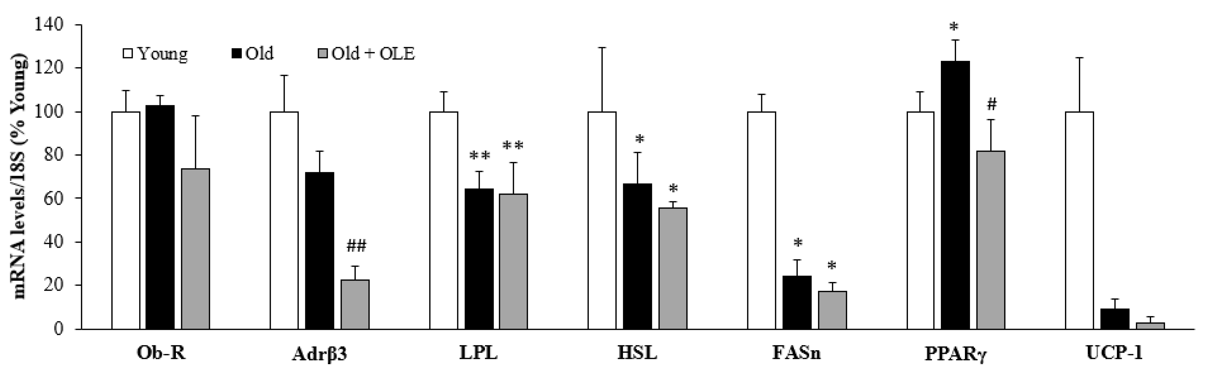 Antioxidants 10 00737 g001