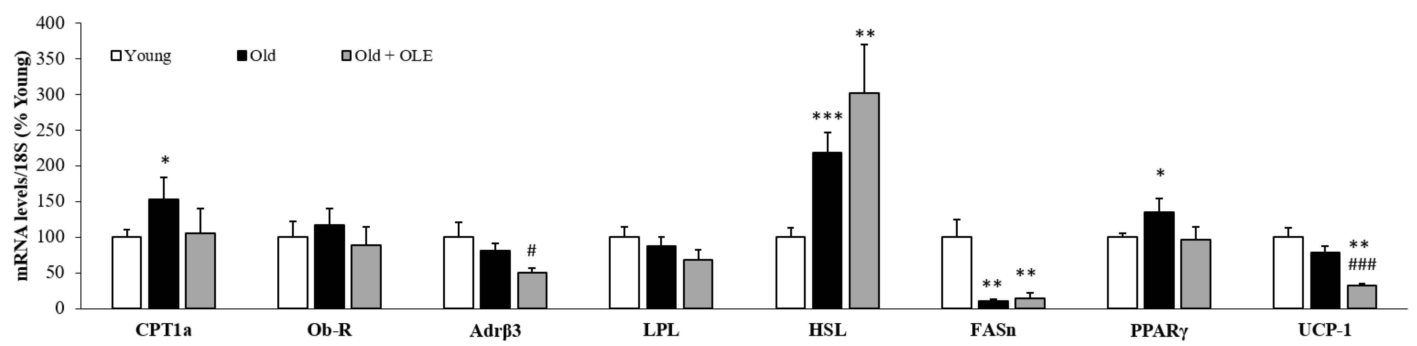 Antioxidants 10 00737 g002