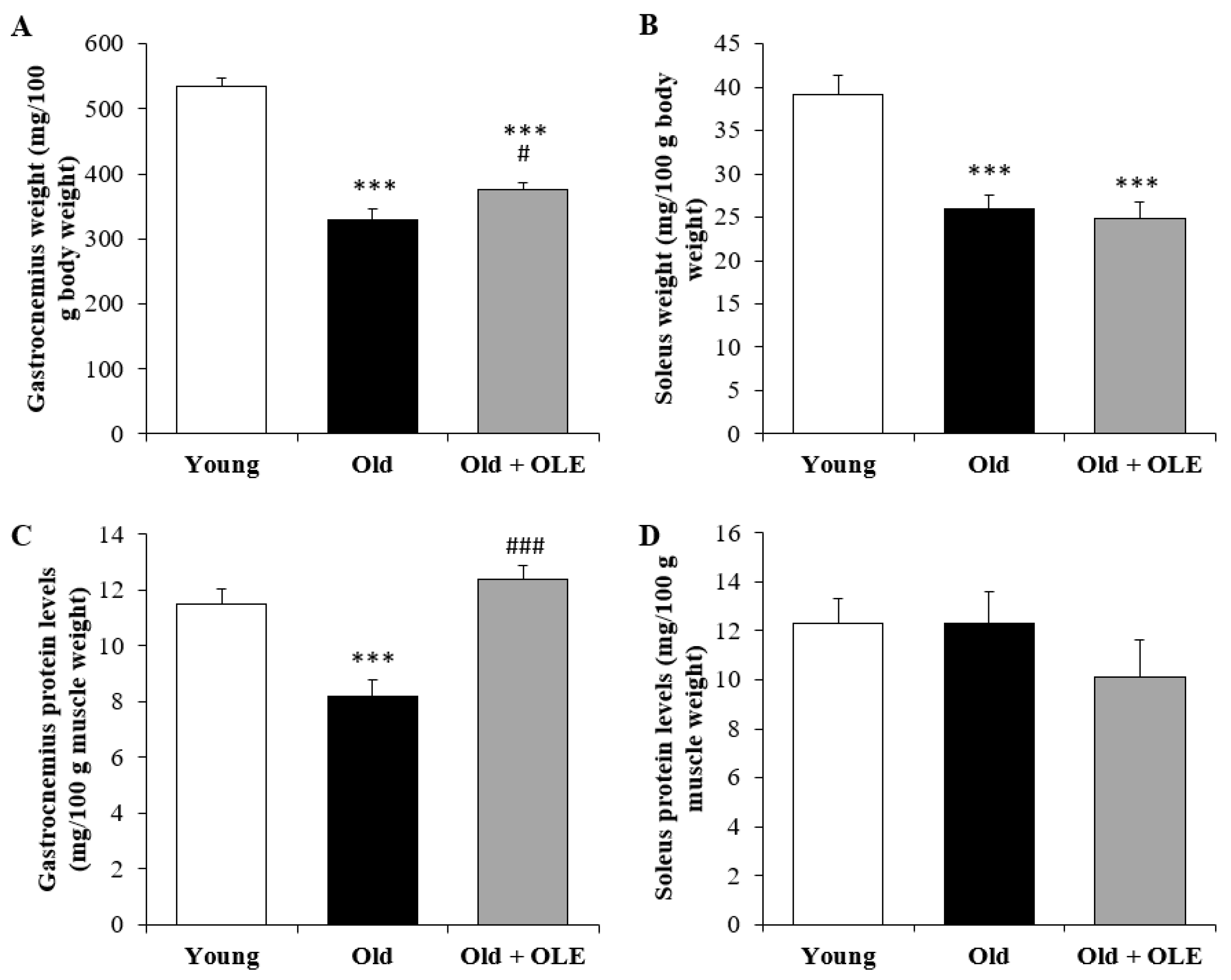 Antioxidants 10 00737 g003