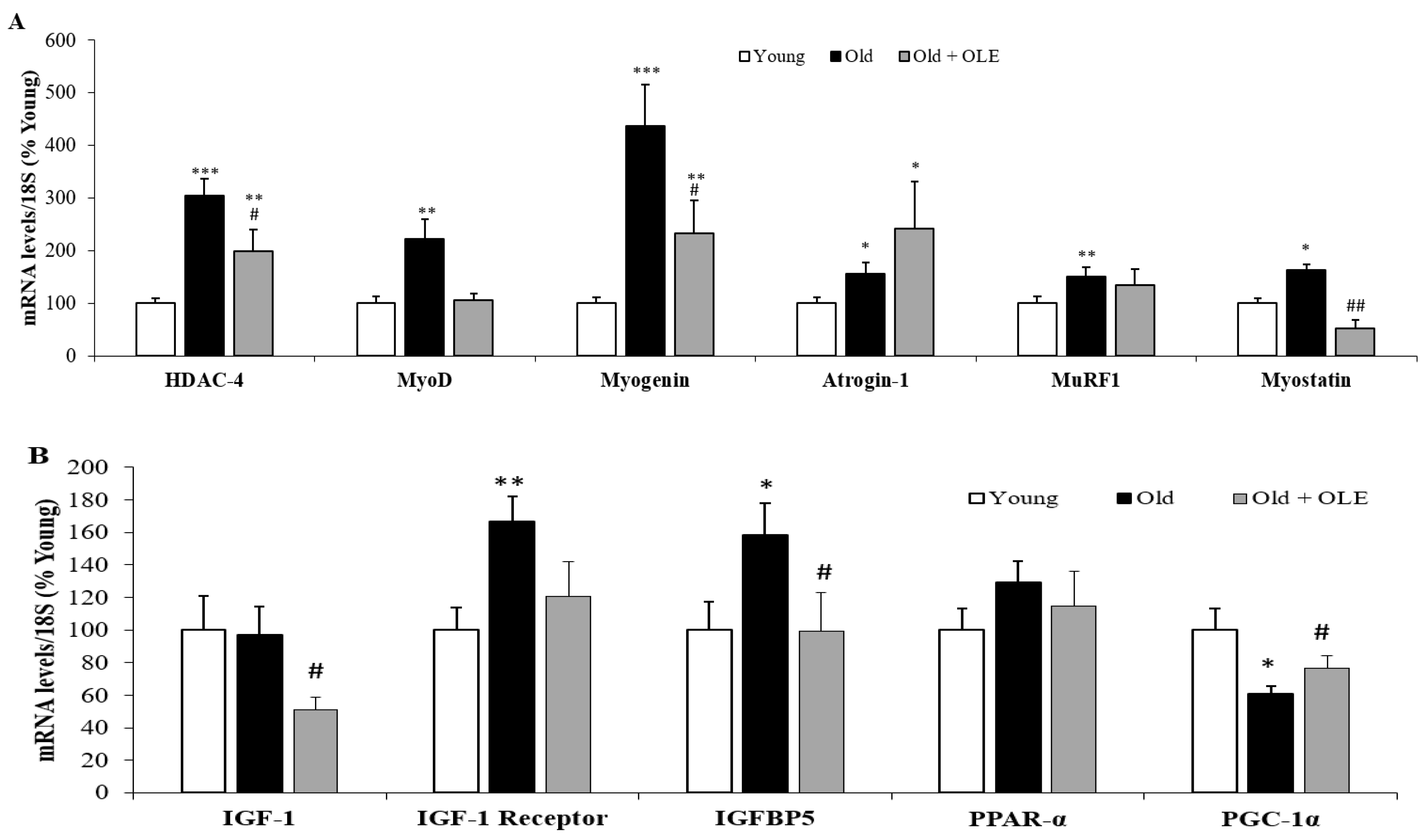 Antioxidants 10 00737 g004