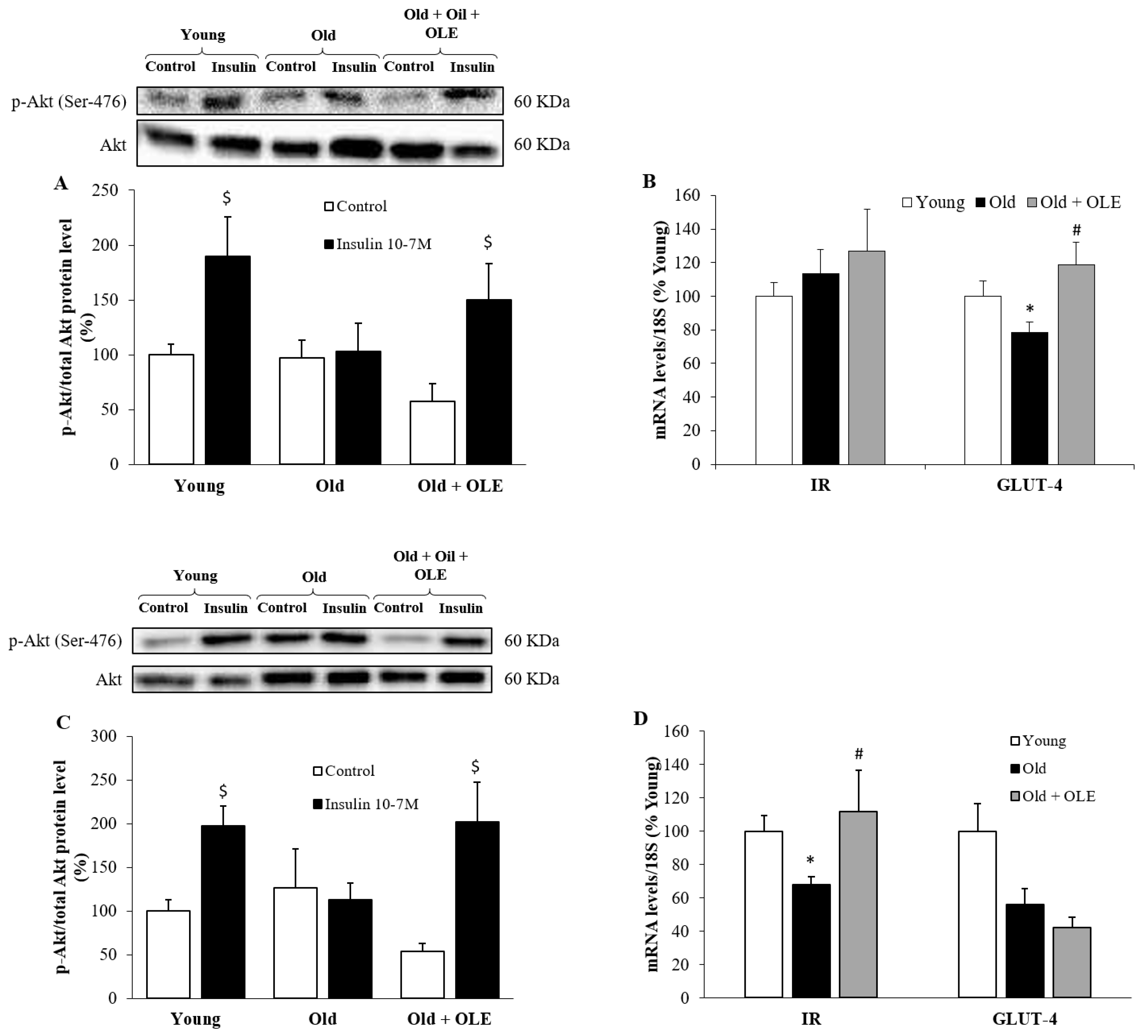 Antioxidants 10 00737 g006