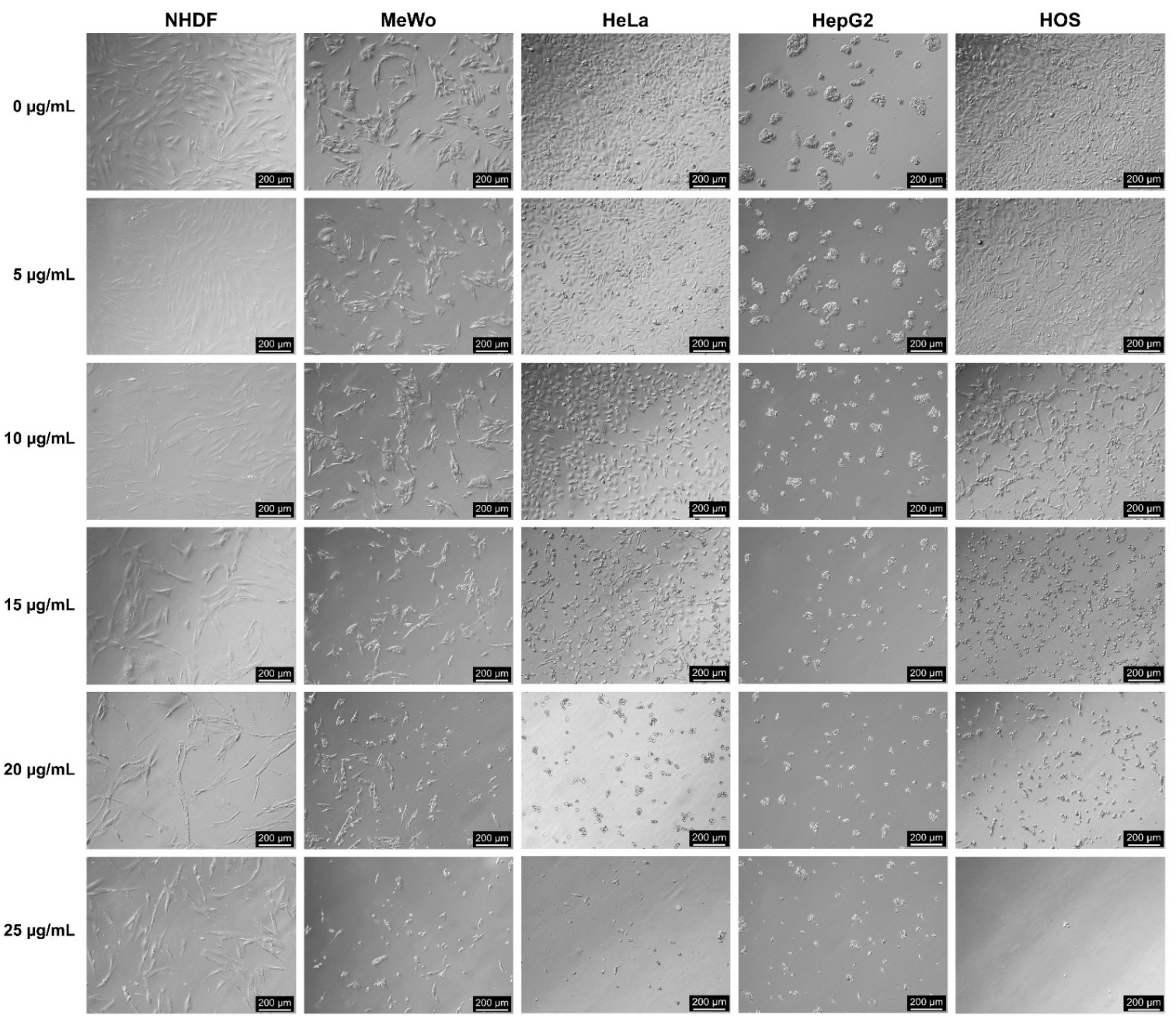 Antioxidants 10 00738 g007