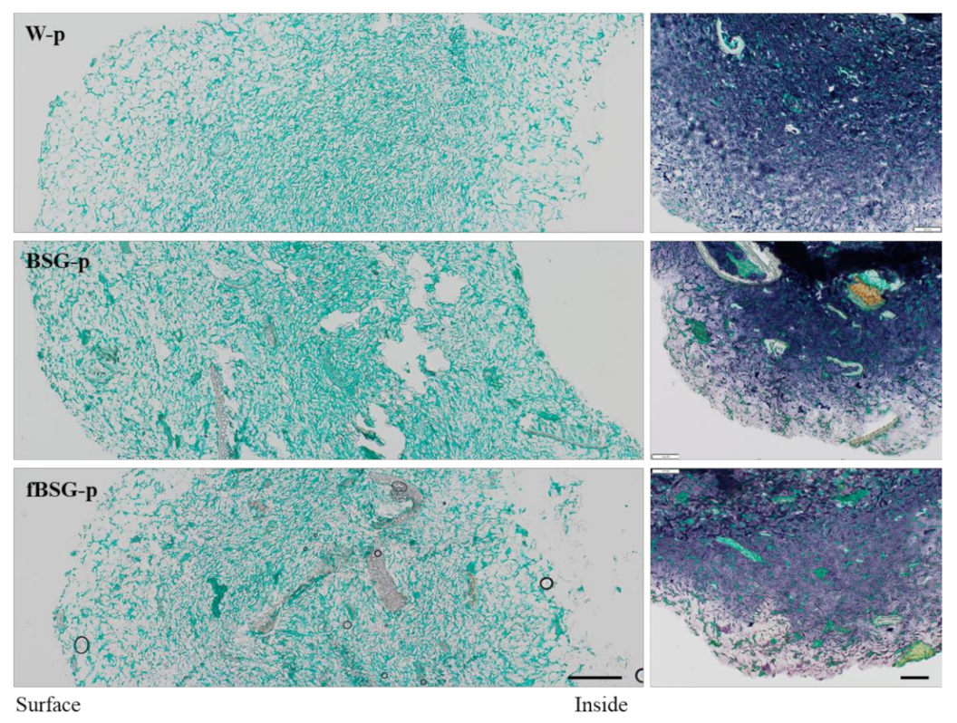 Antioxidants 10 00742 g002