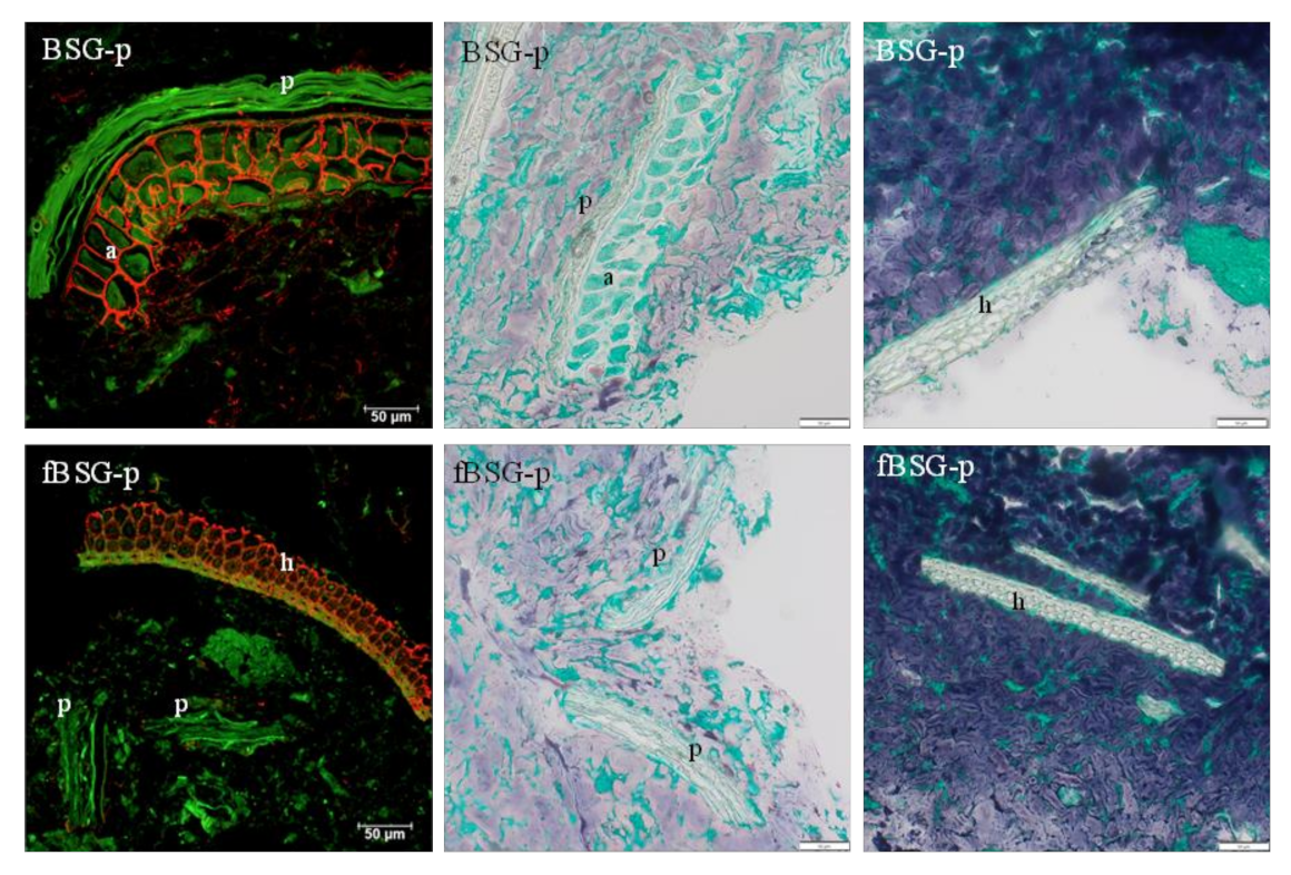 Antioxidants 10 00742 g003