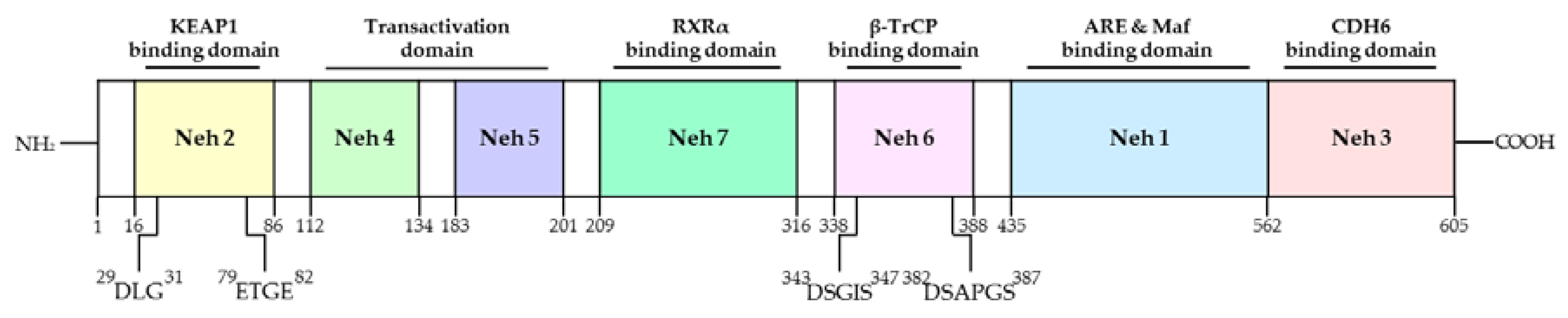 Antioxidants 10 00743 g003