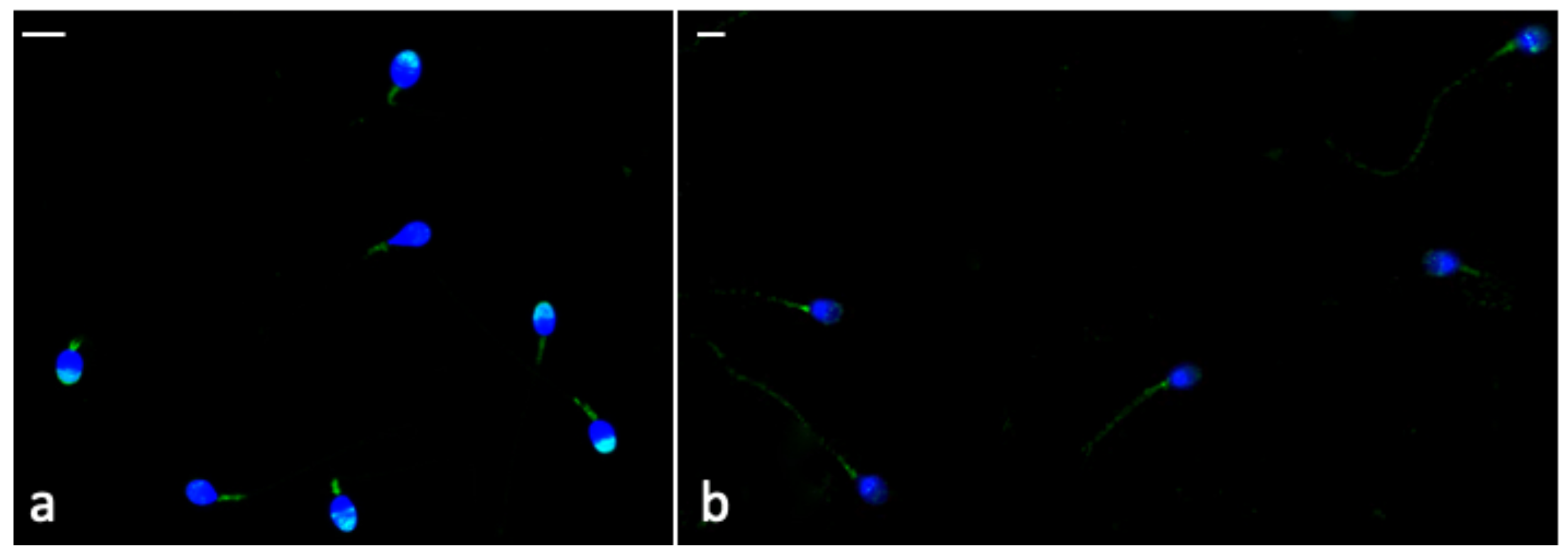 Antioxidants 10 00744 g006