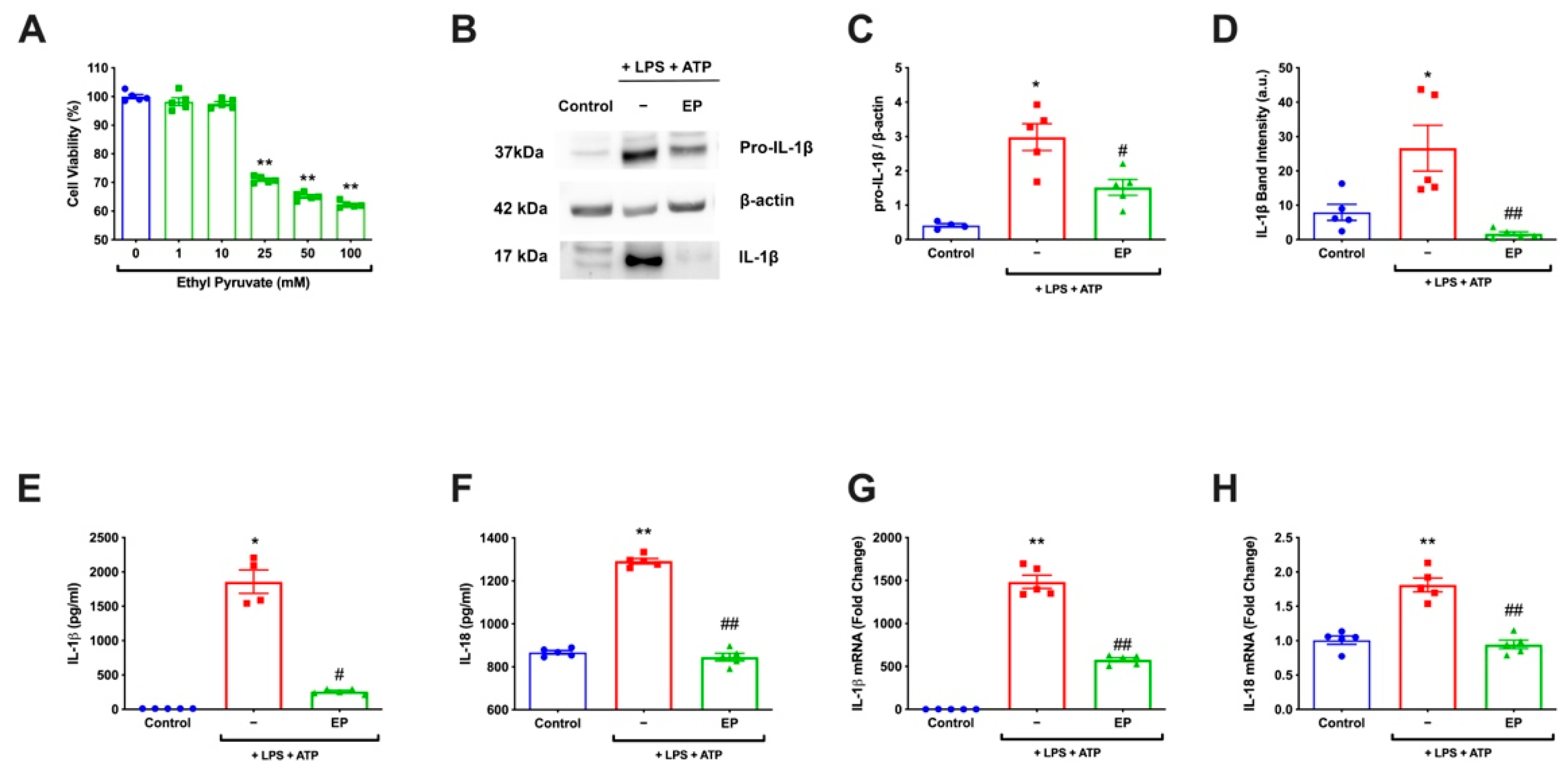 Antioxidants 10 00745 g001