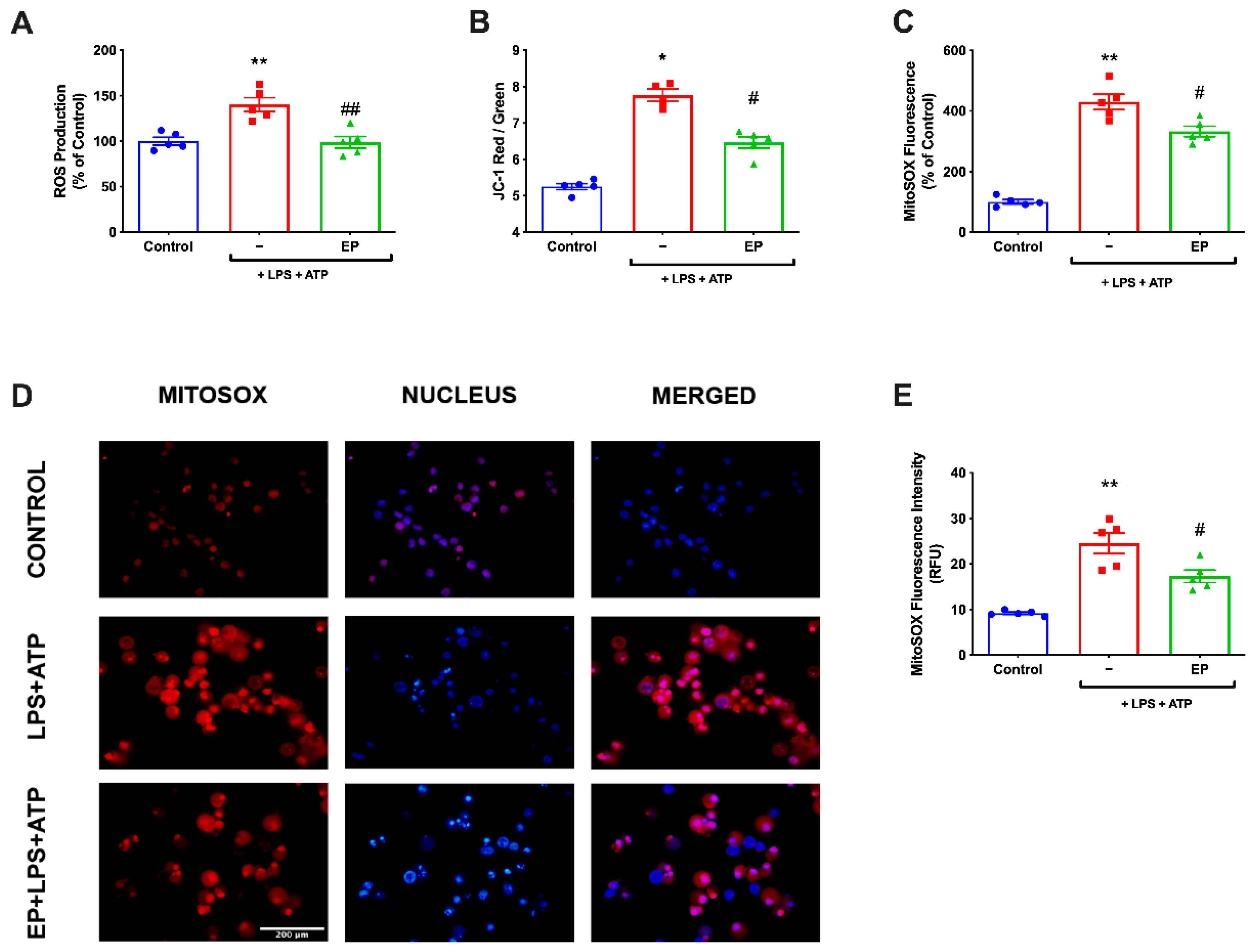Antioxidants 10 00745 g004