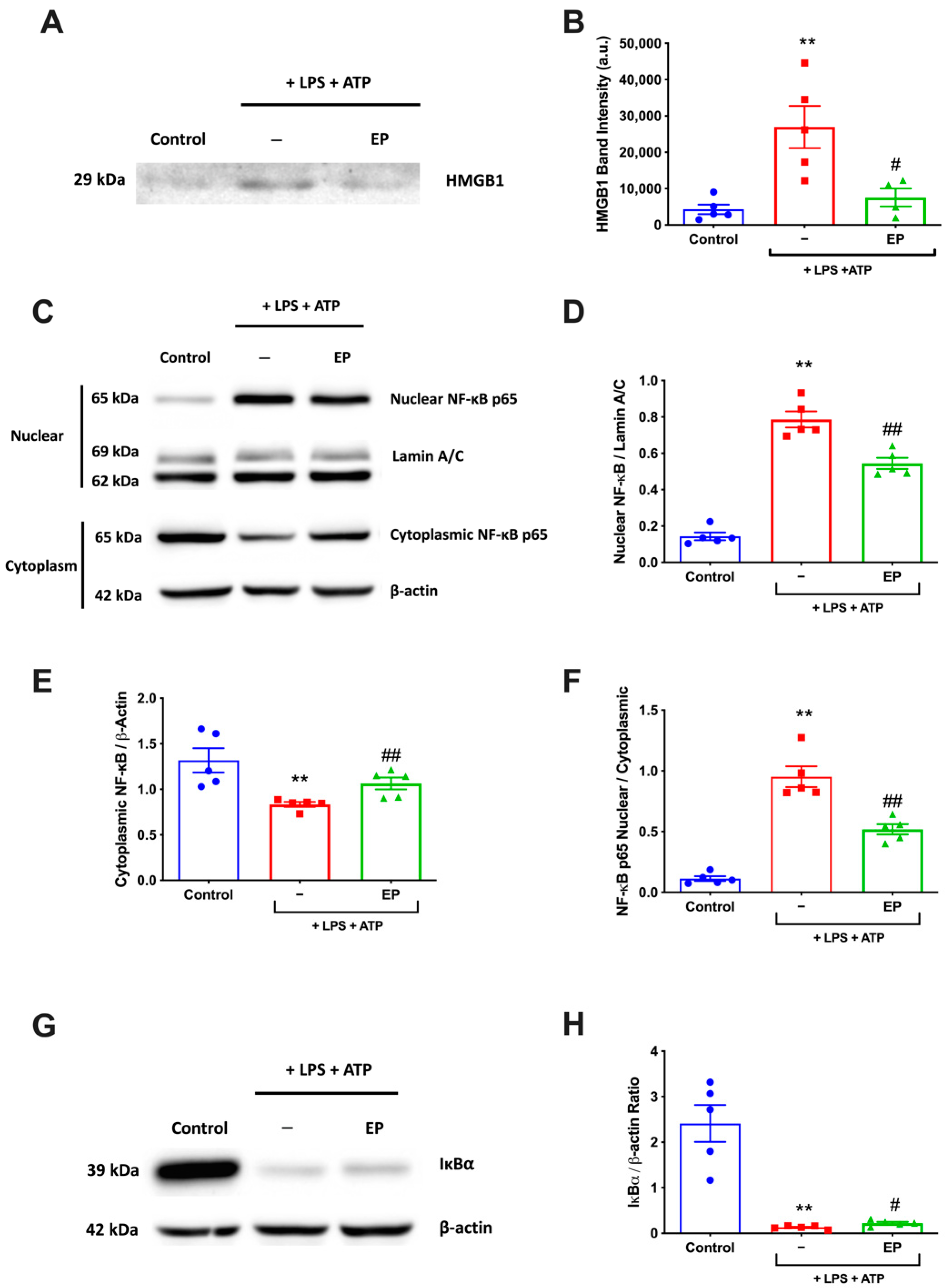 Antioxidants 10 00745 g005