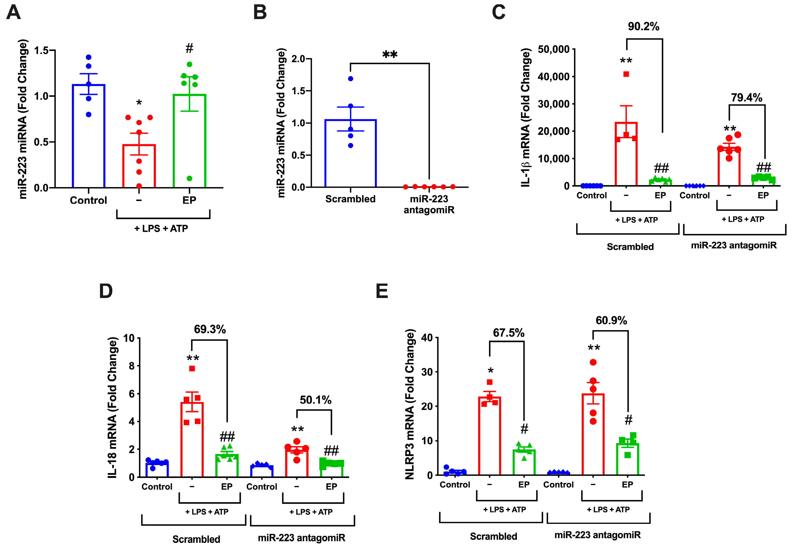 Antioxidants 10 00745 g006