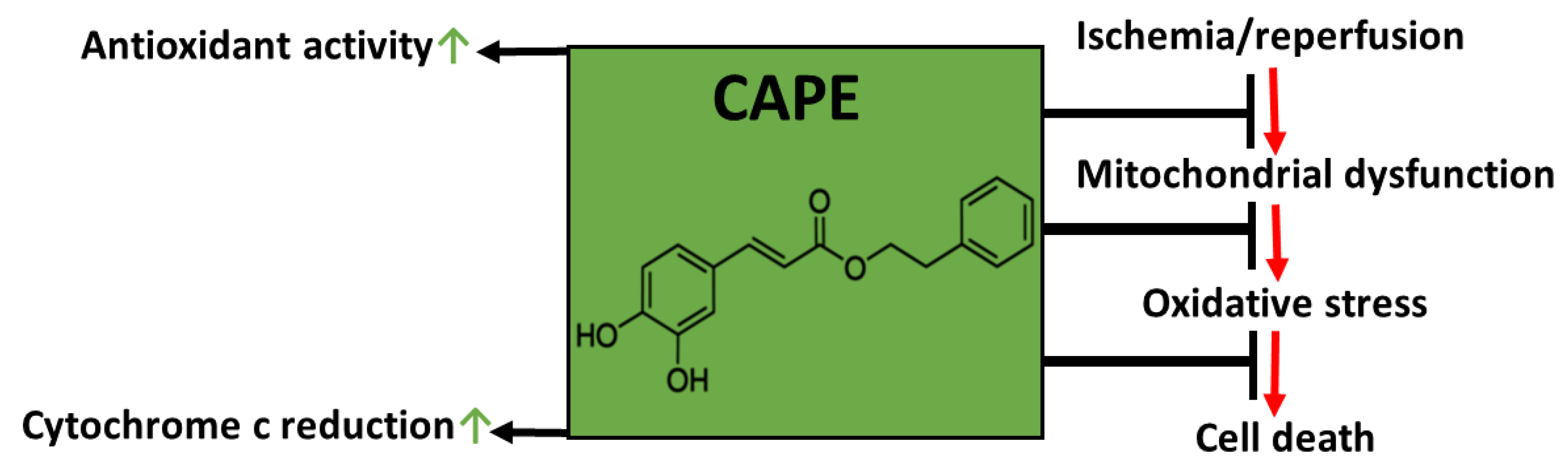 Antioxidants 10 00747 g012 Antioxidants 10 00747 g012
