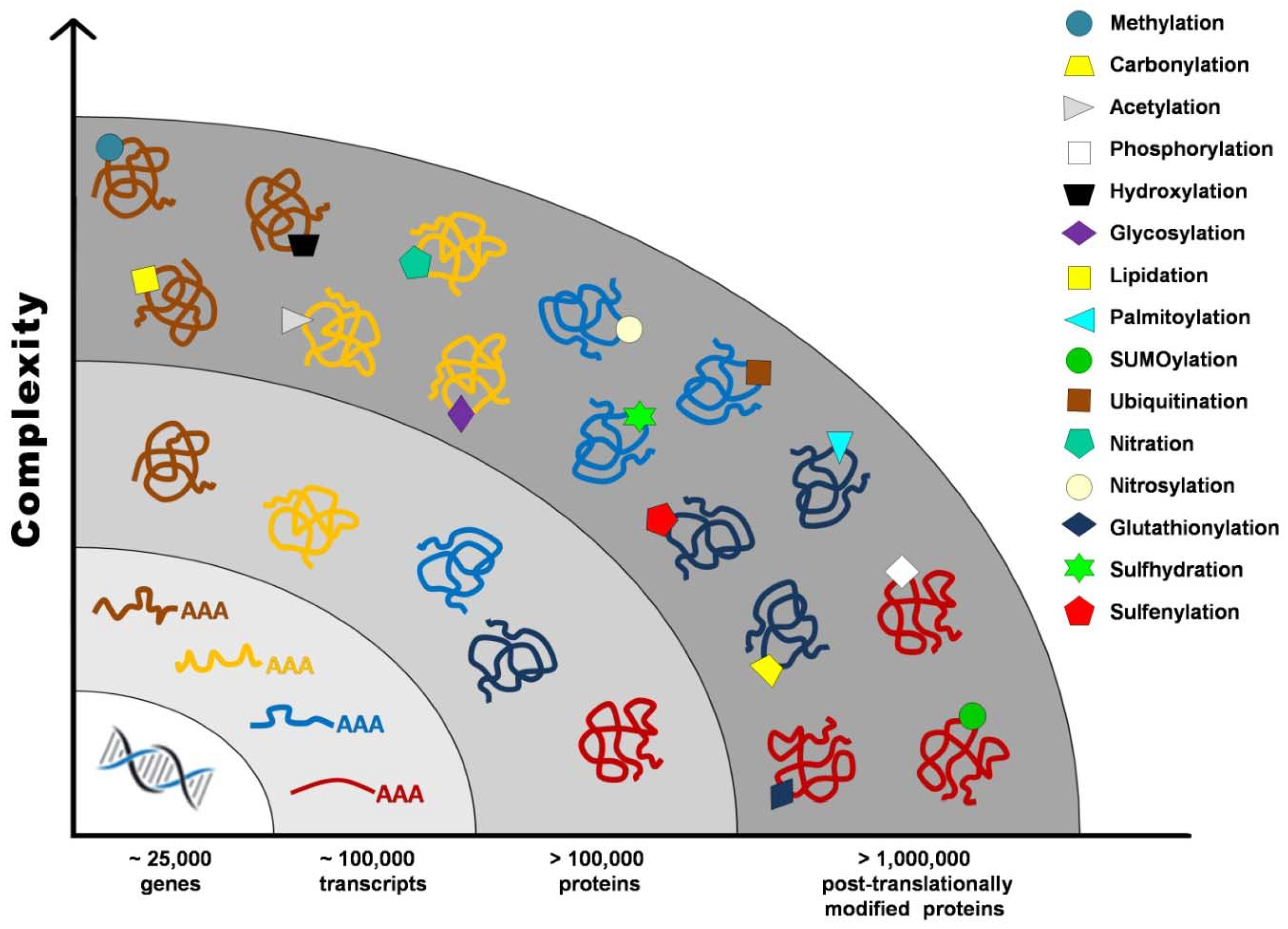 Antioxidants 10 00749 g001