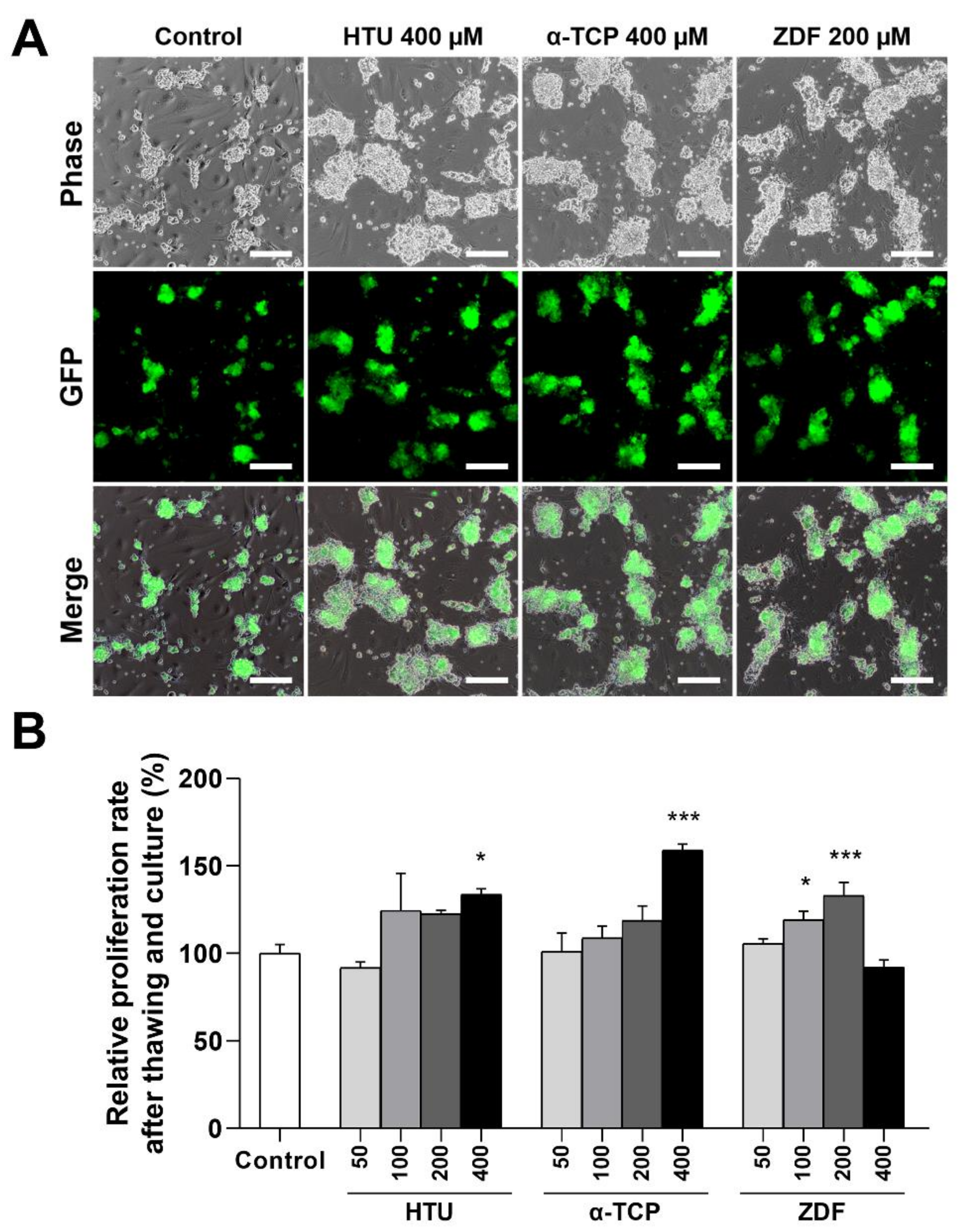 Antioxidants 10 00754 g001