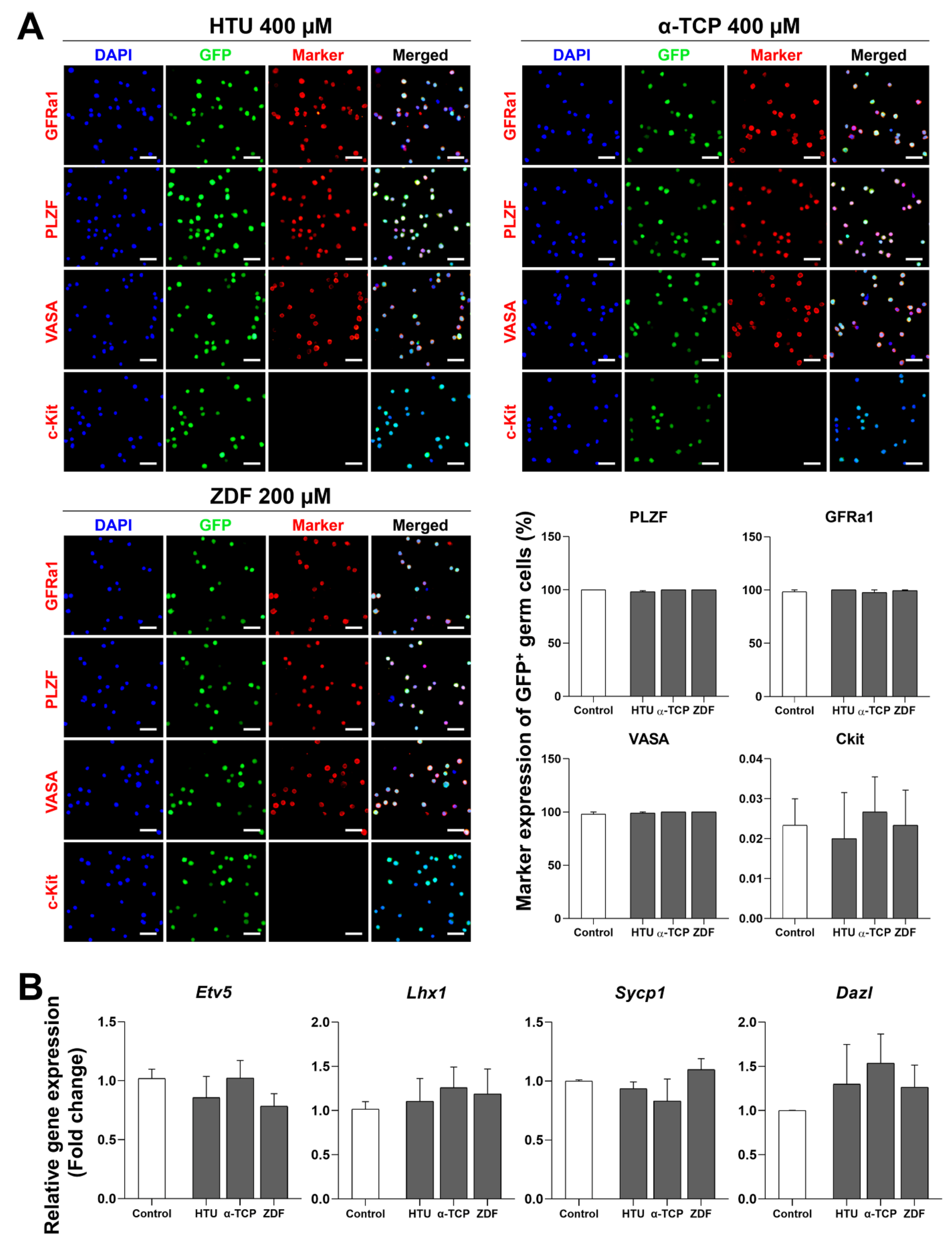 Antioxidants 10 00754 g004